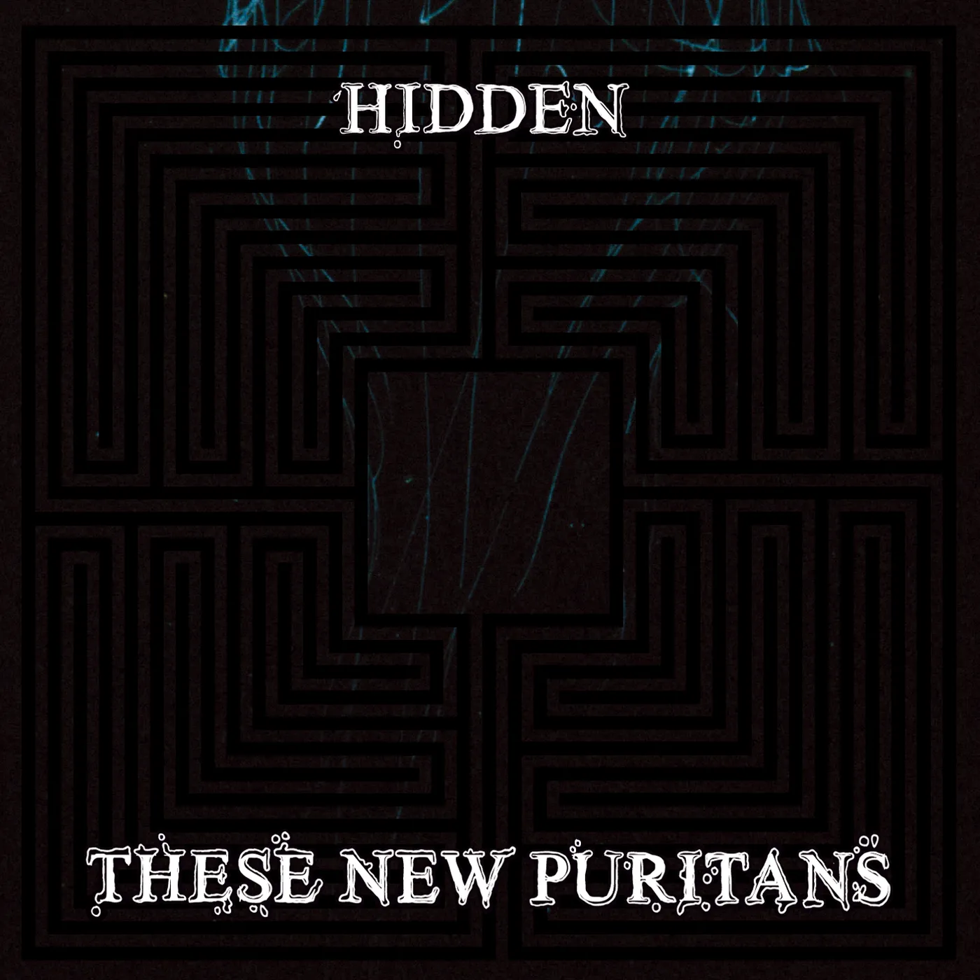 These New Puritans Hidden Vinyl Record
