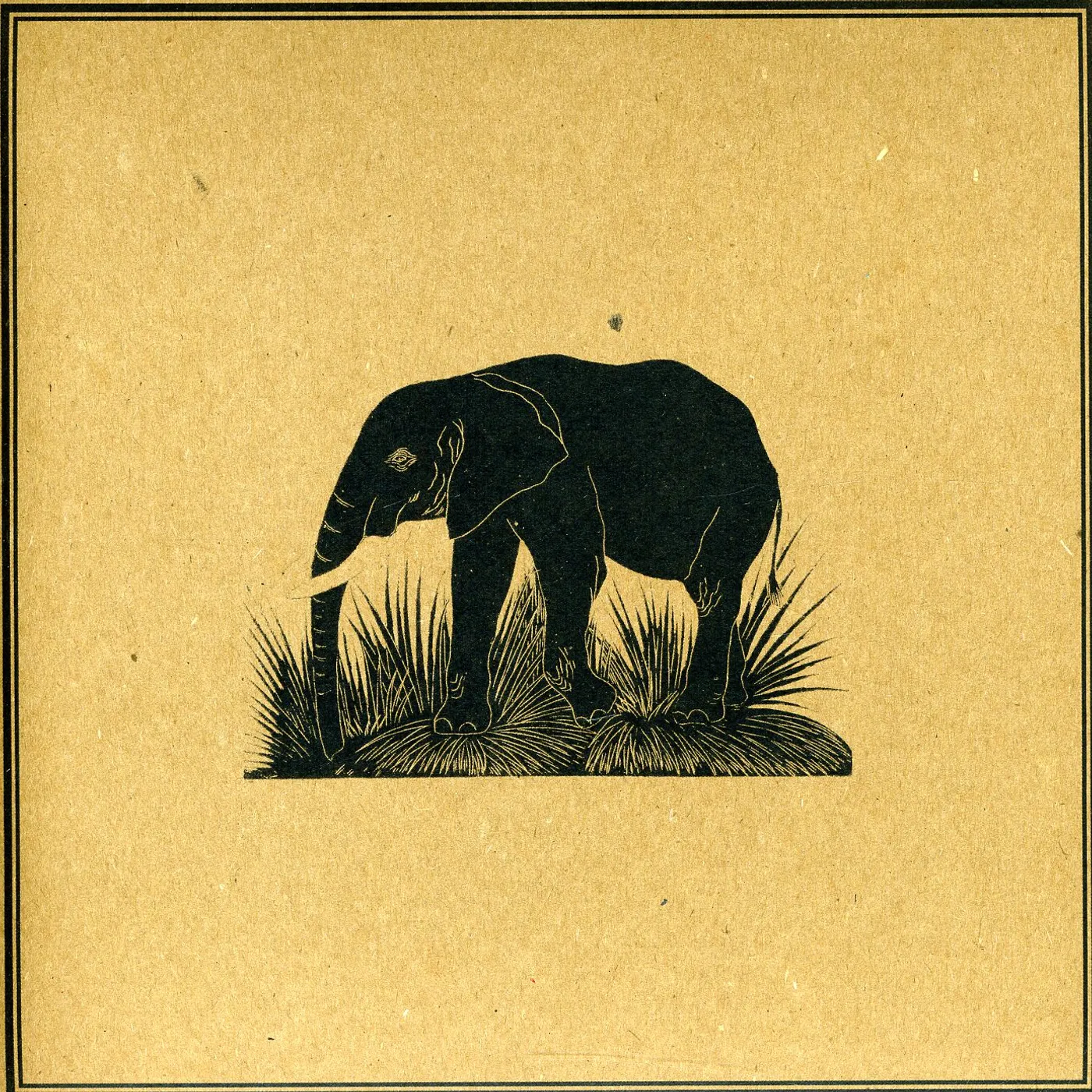 Champaign DETECTIVE INSTINCT PRESENTS 1 Vinyl Record