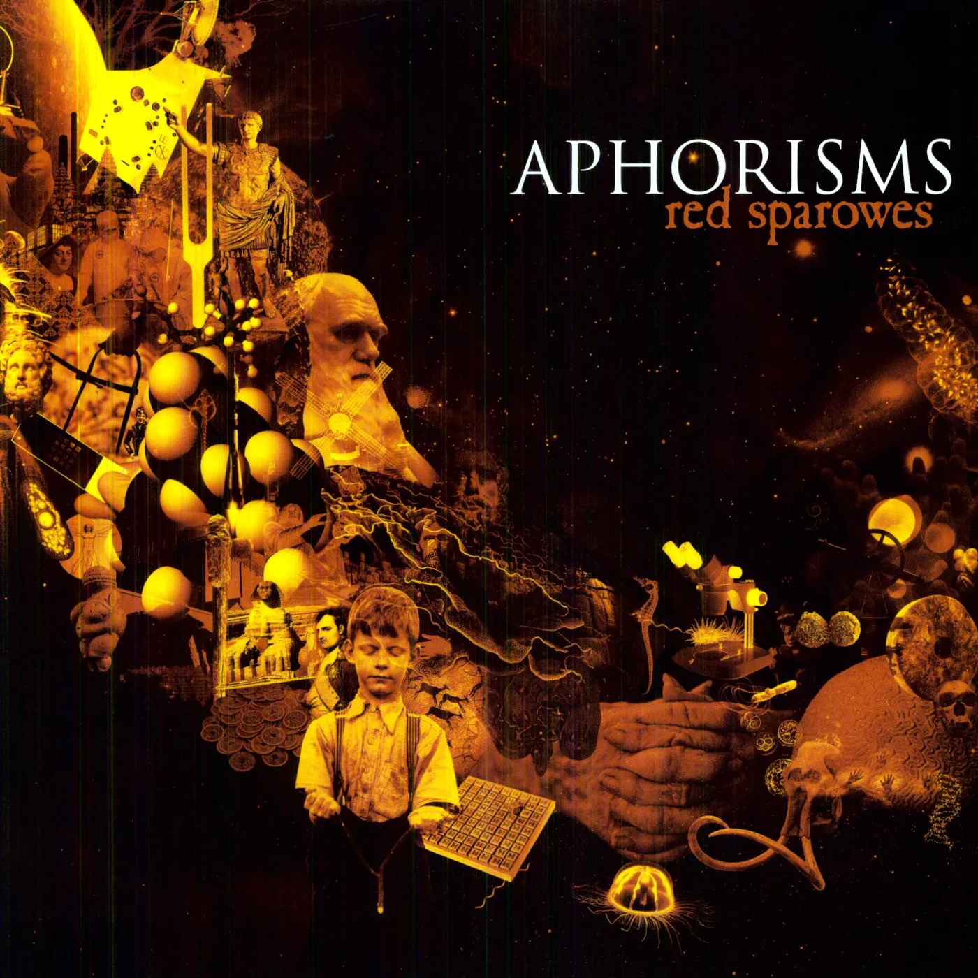 Red Sparowes Aphorisms 12  (Black Vinyl) Vinyl Record