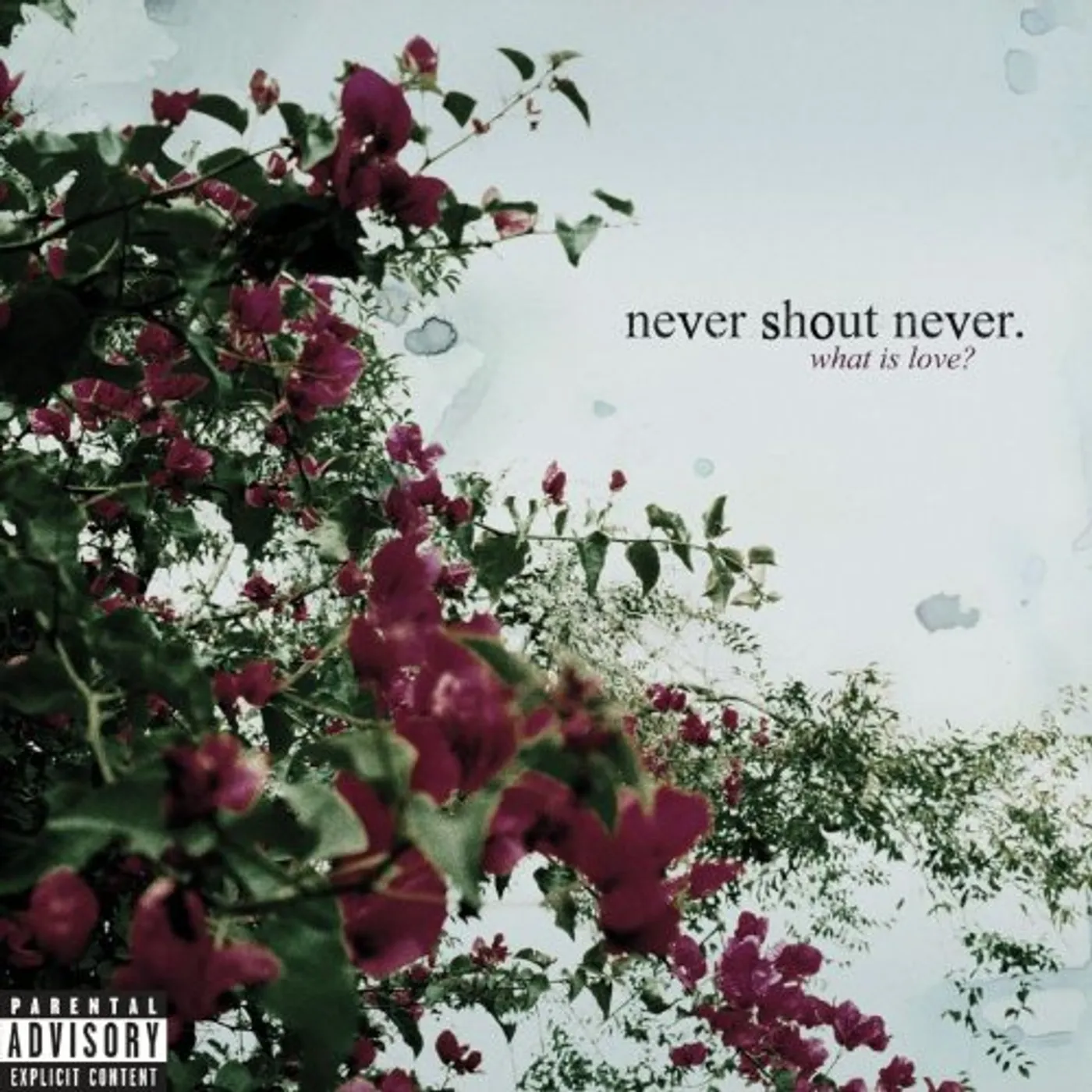 Never Shout Never WHAT IS LOVE CD