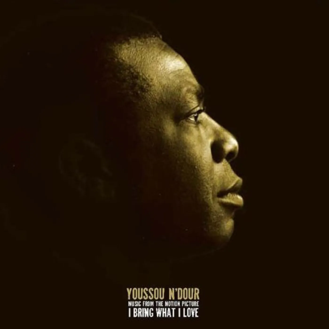 Youssou N'Dour MUSIC FROM THE MOTION PICTURE I BRING WHAT I LOVE CD