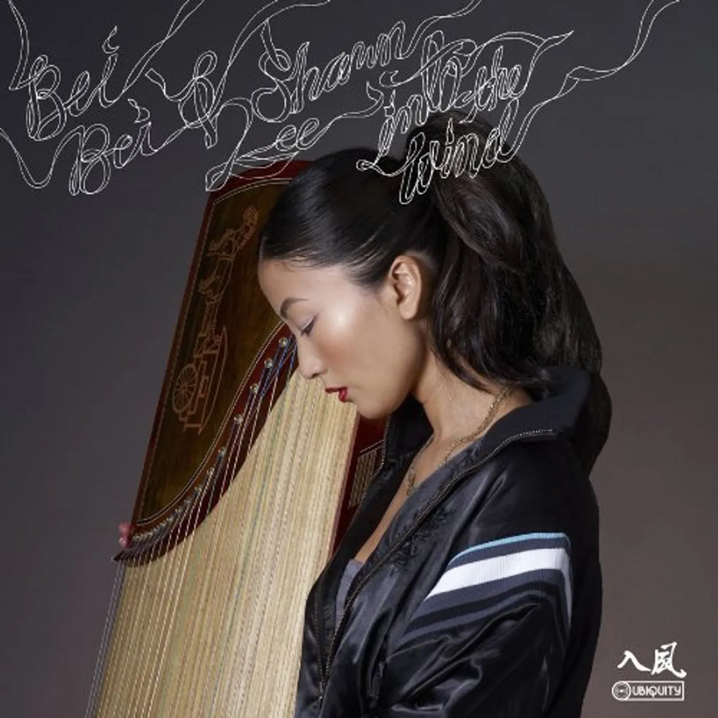 Bei Bei & Shawn Lee INTO THE WIND Vinyl Record