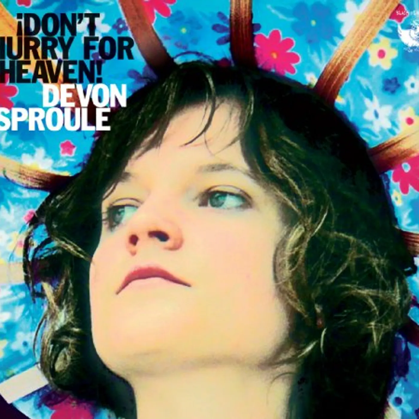 Devon Sproule DON'T HURRY FOR HEAVEN CD