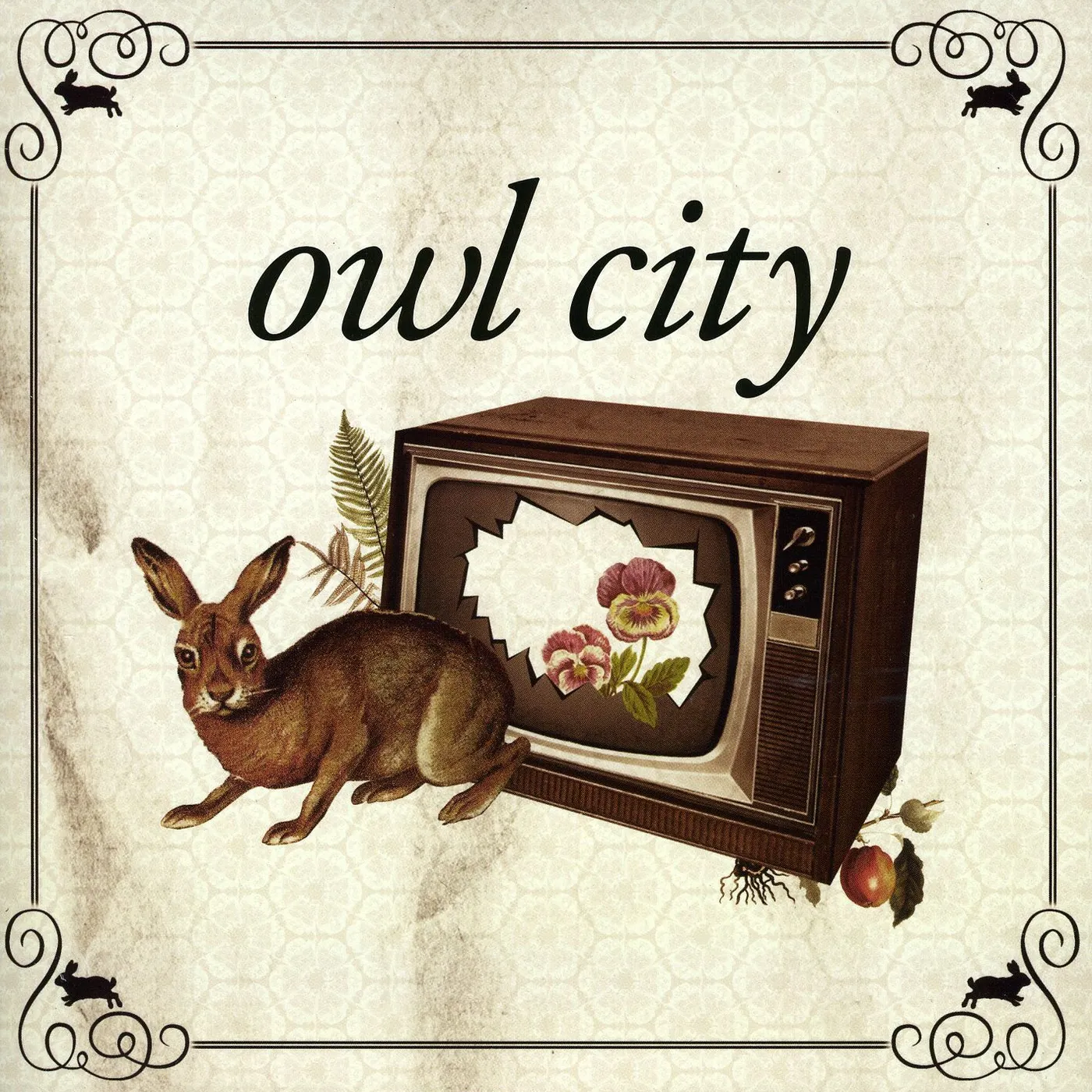 OWL CITY RECORD STORE DAY Vinyl Record