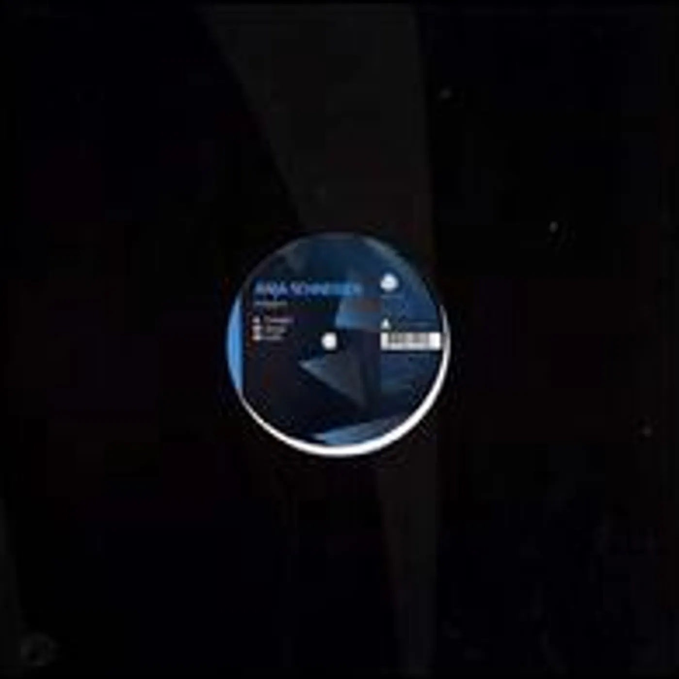 Anja Schneider iThought Vinyl Record