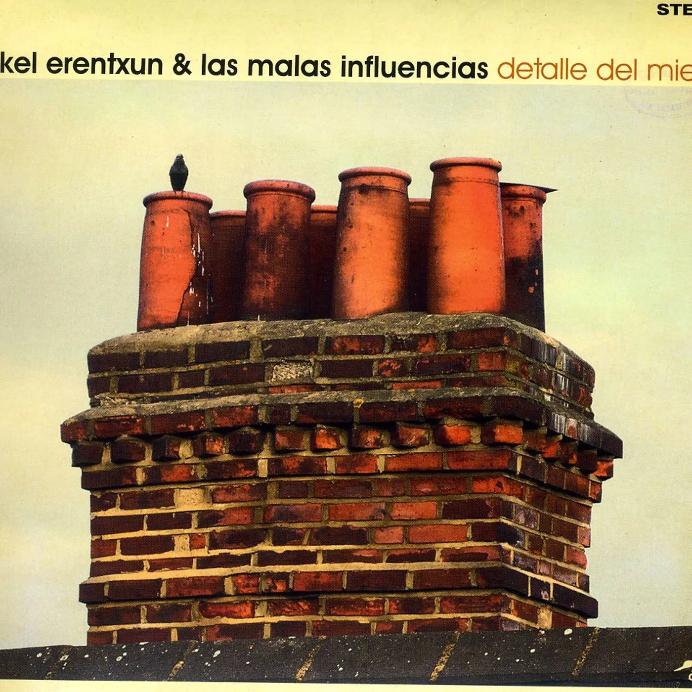 Mikel Erentxun DETALLE DEL MIEDO CD