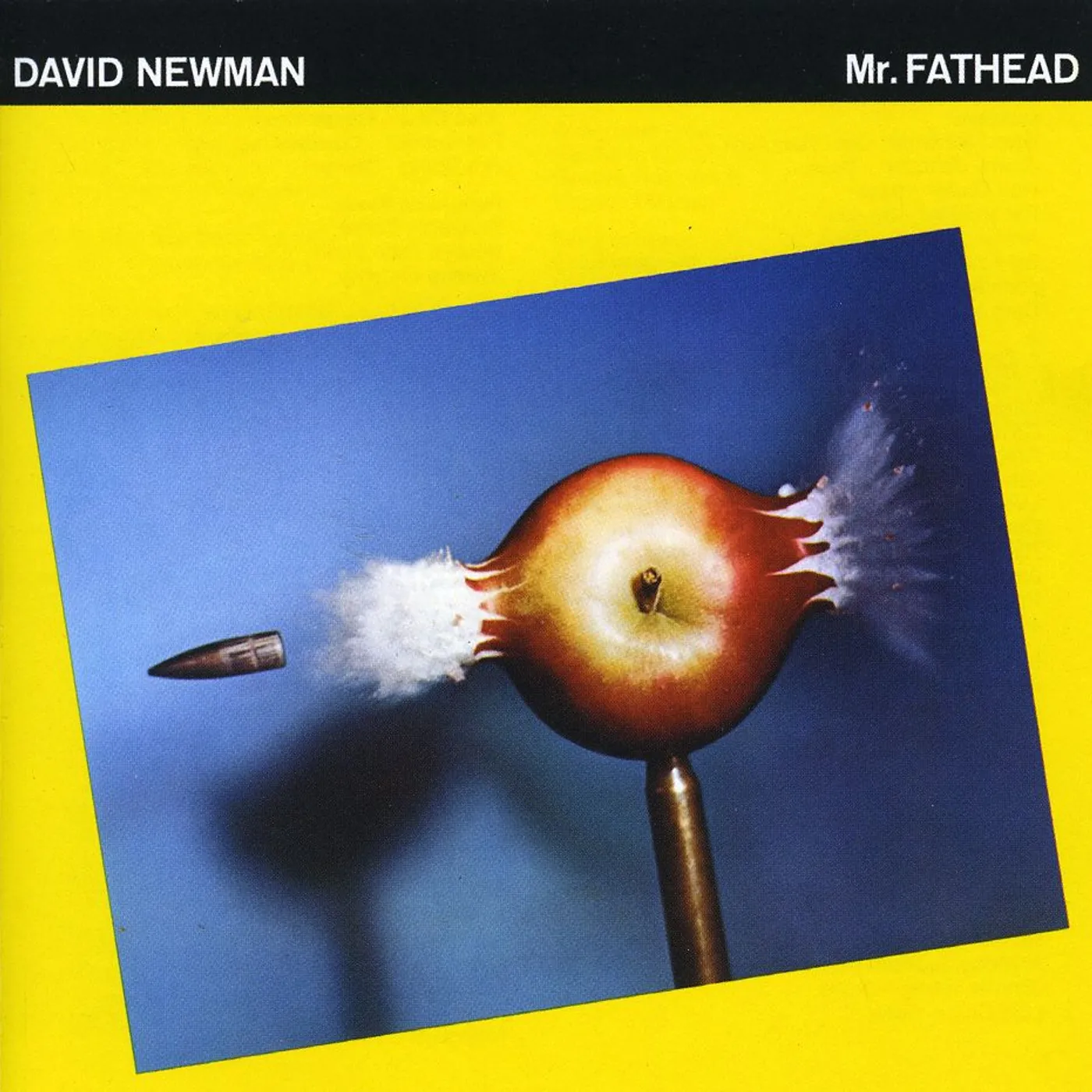 David "Fathead" Newman MR FATHEAD CD