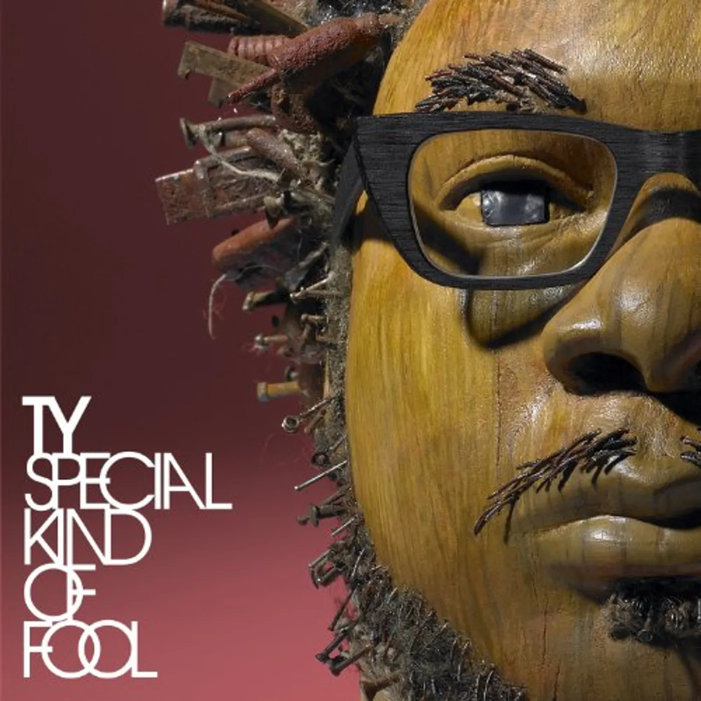Ty SPECIAL KIND OF FOOL CD