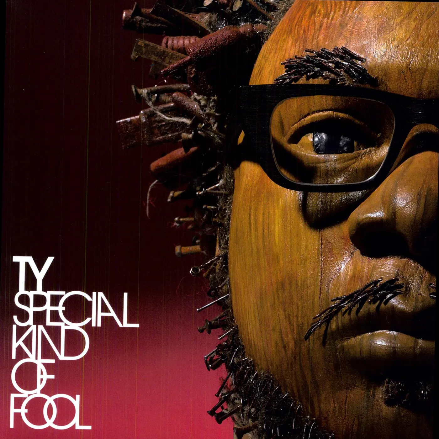 Ty Special Kind of Fool Vinyl Record