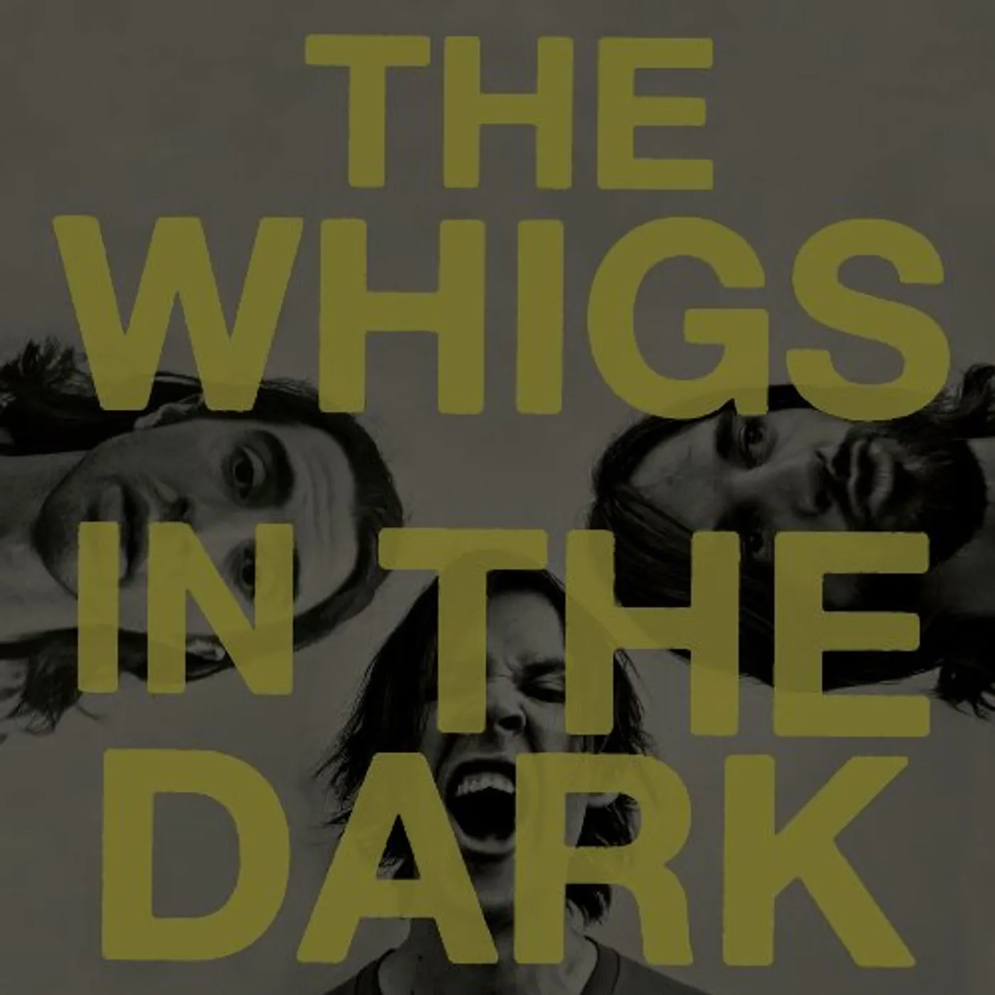 The Whigs In The Dark Vinyl Record