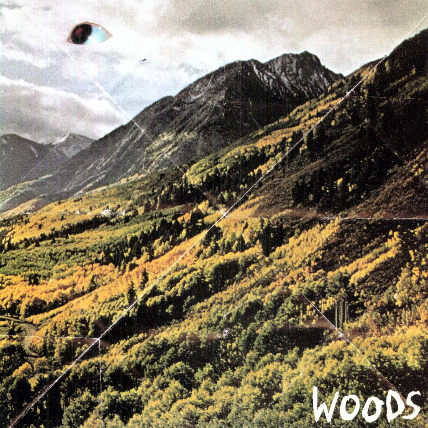 Woods Songs of Shame Vinyl Record