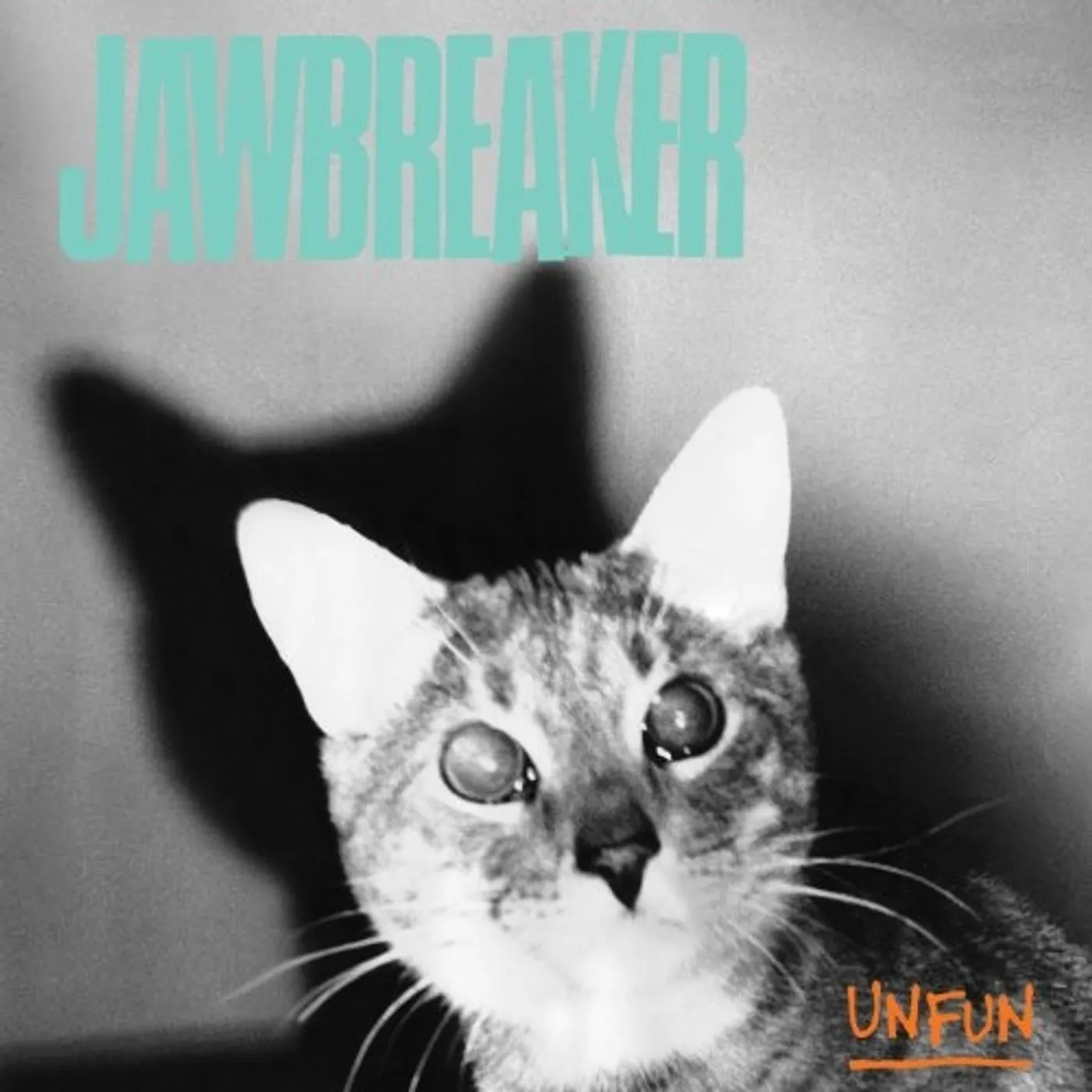 Jawbreaker Unfun Vinyl Record