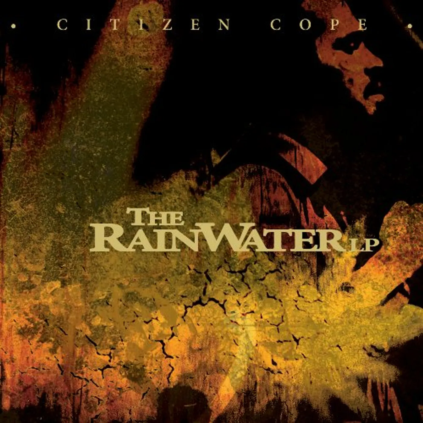 Citizen Cope RAINWATER LP Vinyl Record
