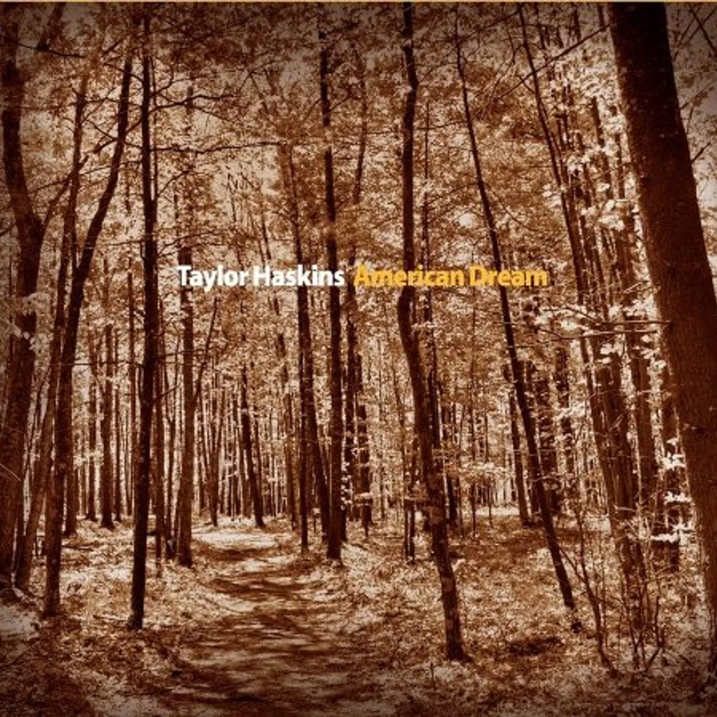 Taylor Haskins AMERICAN DREAM CD