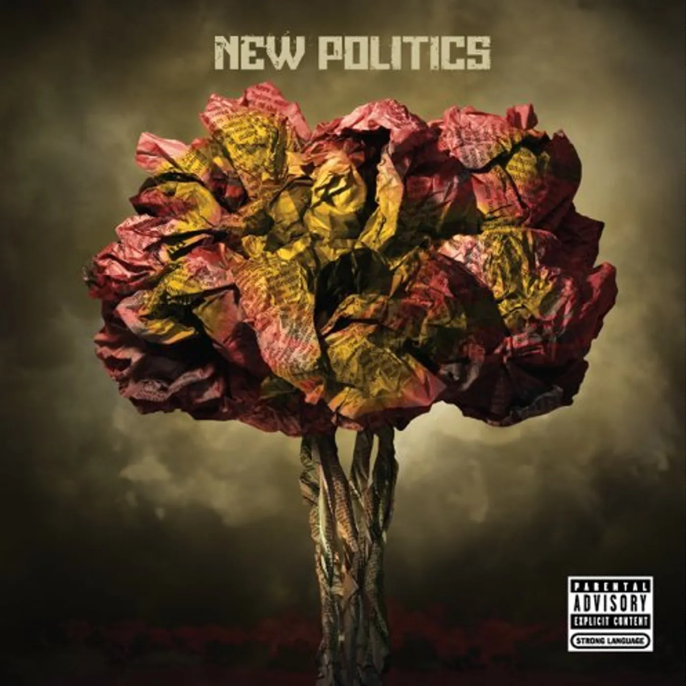NEW POLITICS CD