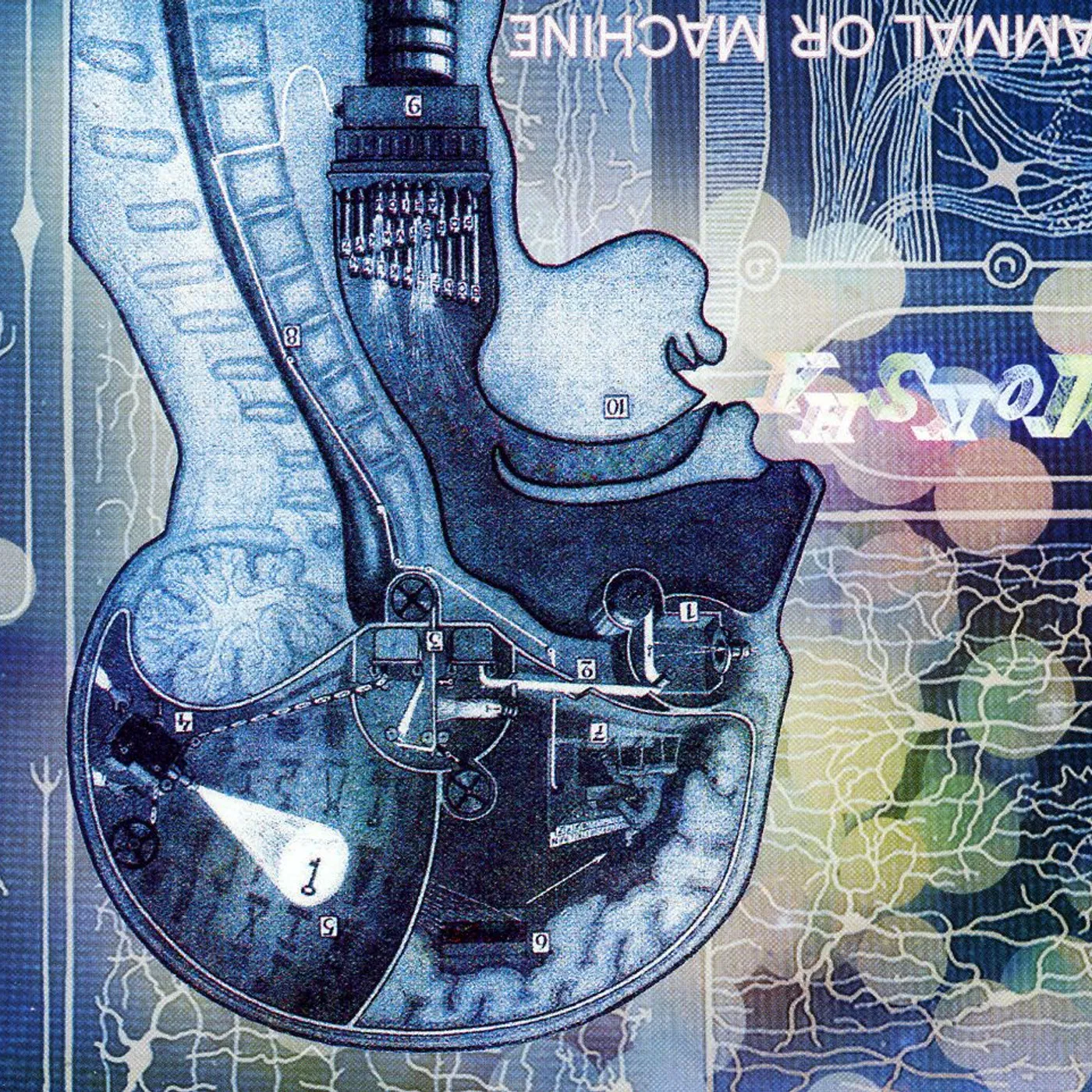 Moksha MAMMAL OR MACHINE CD