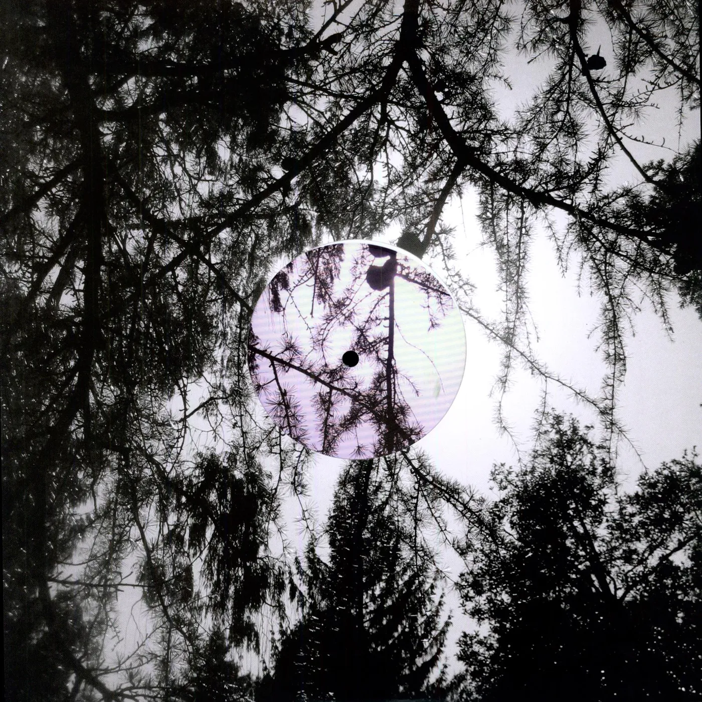 High Places Can't Feel Born Vinyl Record