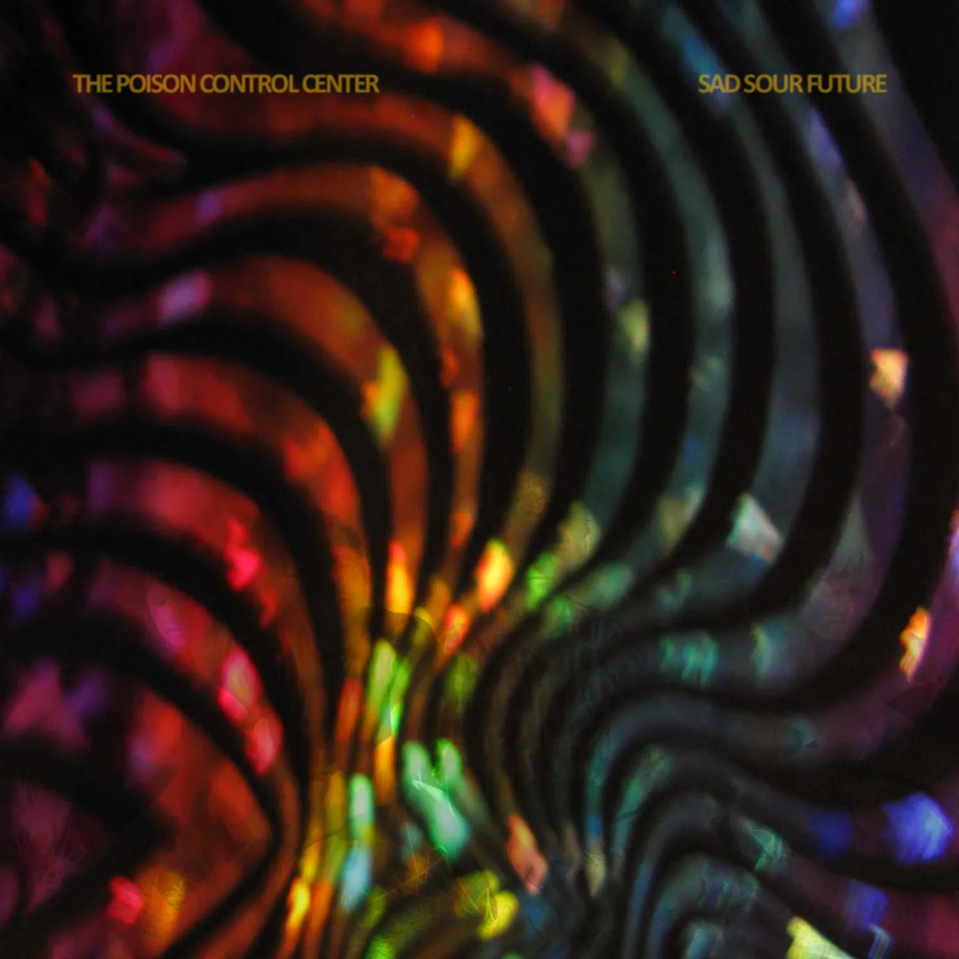 The Poison Control Center Sad Sour Future Vinyl Record