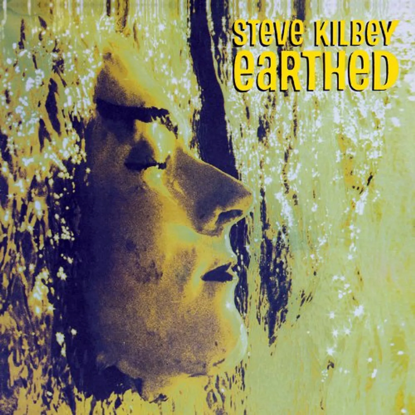 Steve Kilbey EARTHED CD
