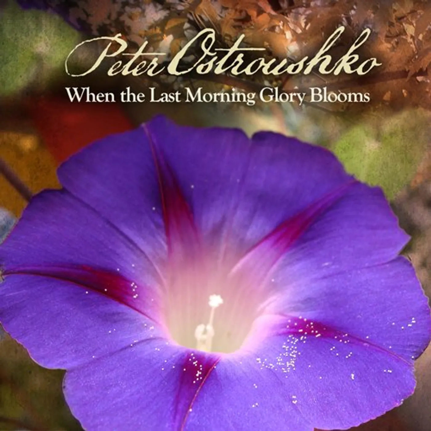 Peter Ostroushko WHEN THE LAST MORNING GLORY BLOOMS CD