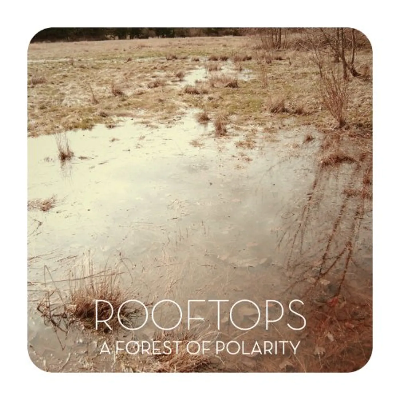 Rooftops FOREST OF POLARITY Vinyl Record