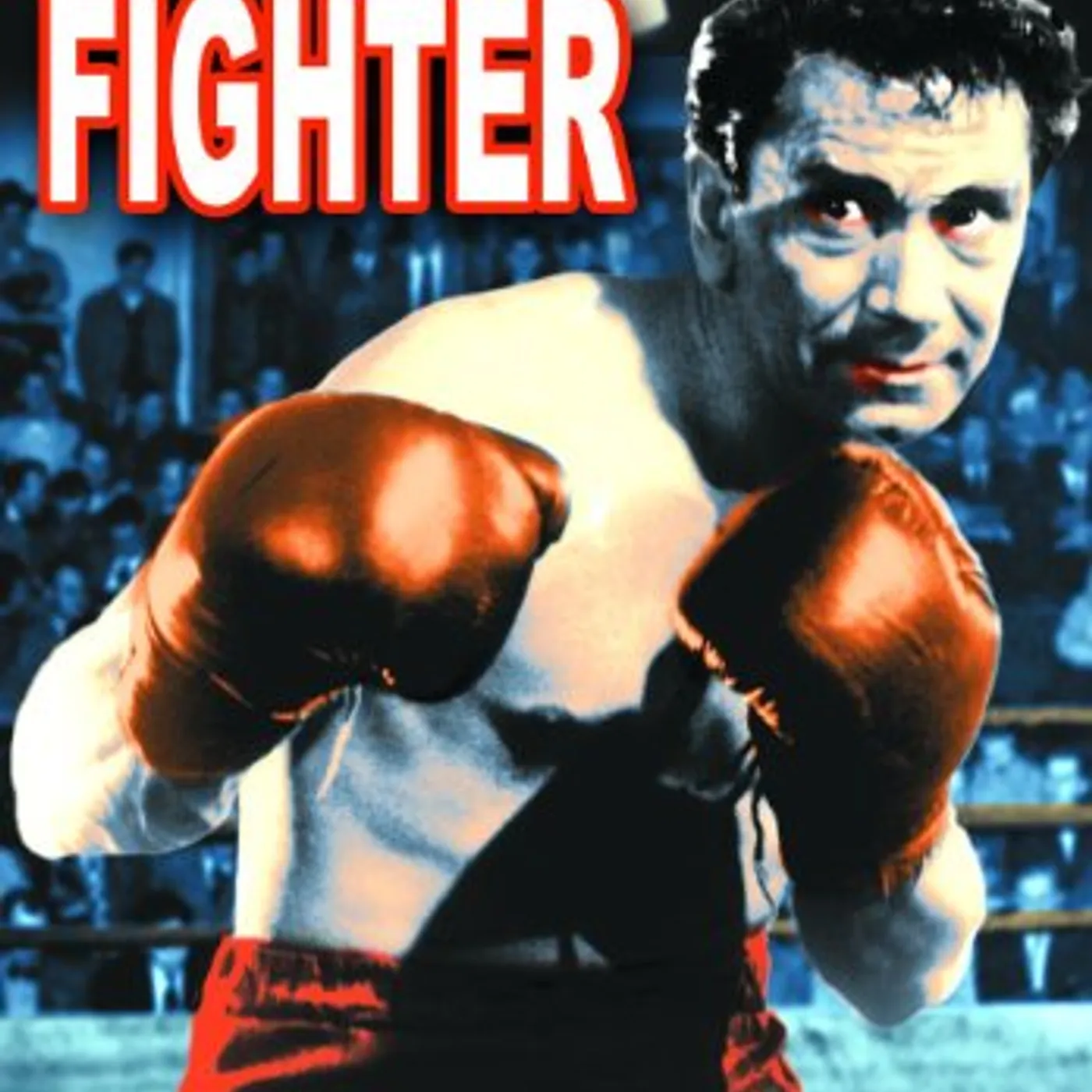 FIGHTER DVD