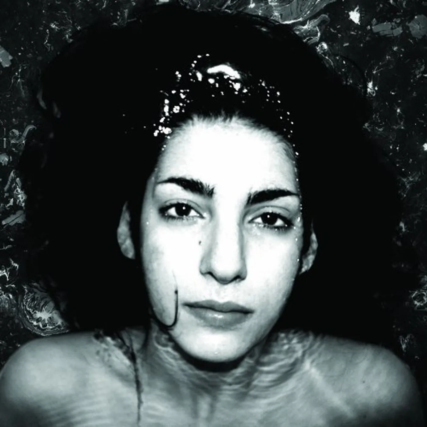 Wildbirds & Peacedrums Retina Vinyl Record