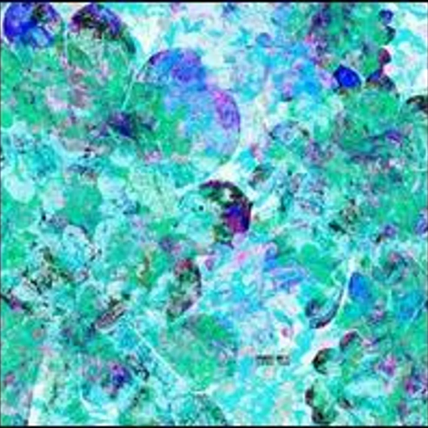 Robert Dietz Home Run Vinyl Record