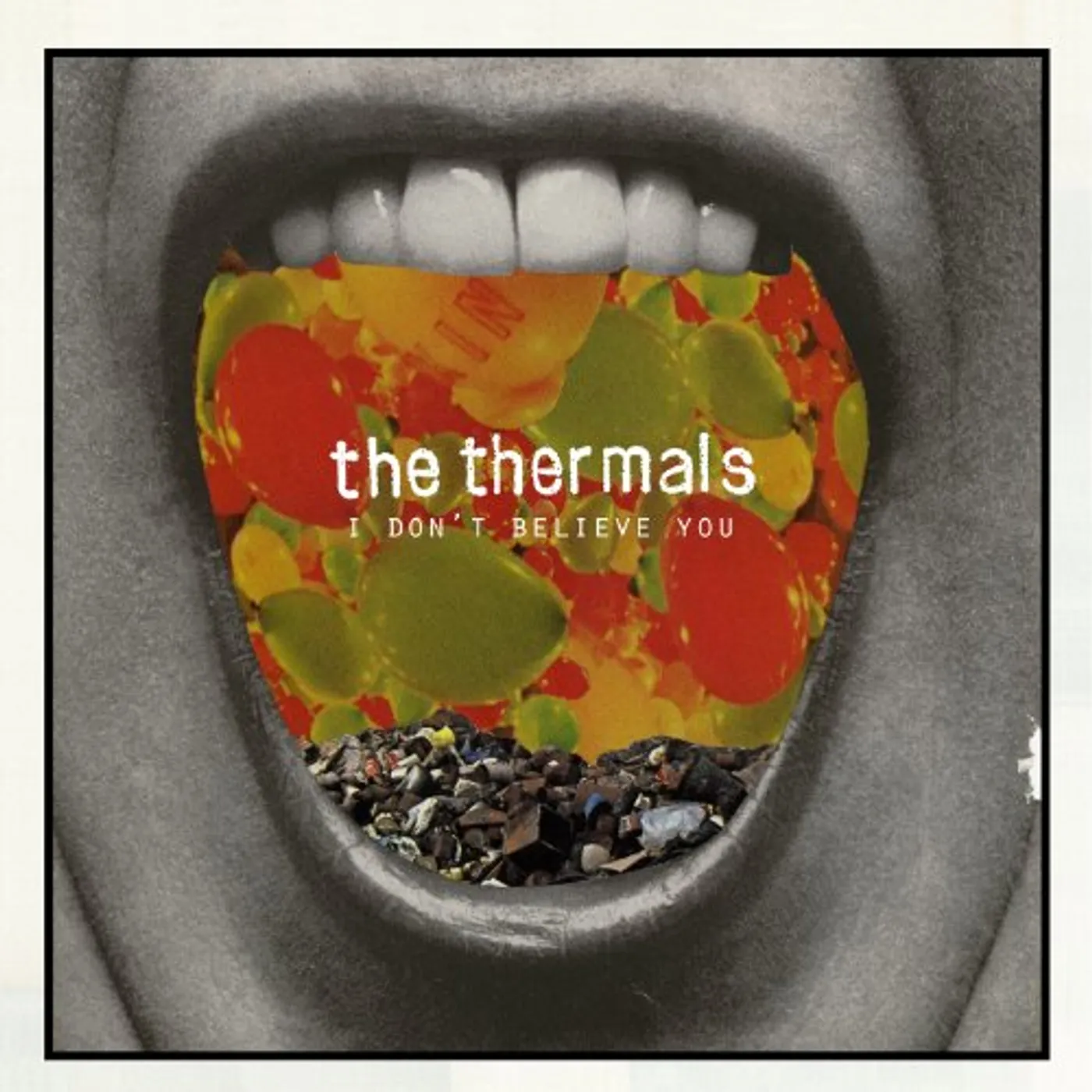 The Thermals I Don't Believe You Vinyl Record