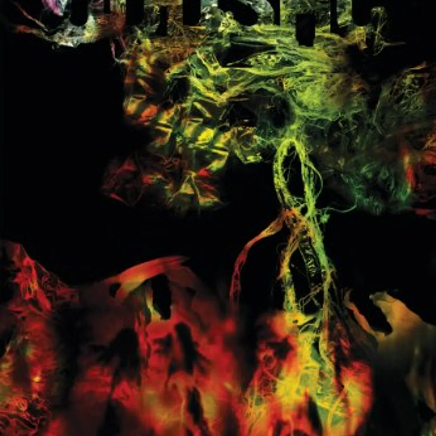 Animal Collective ODDSAC DVD