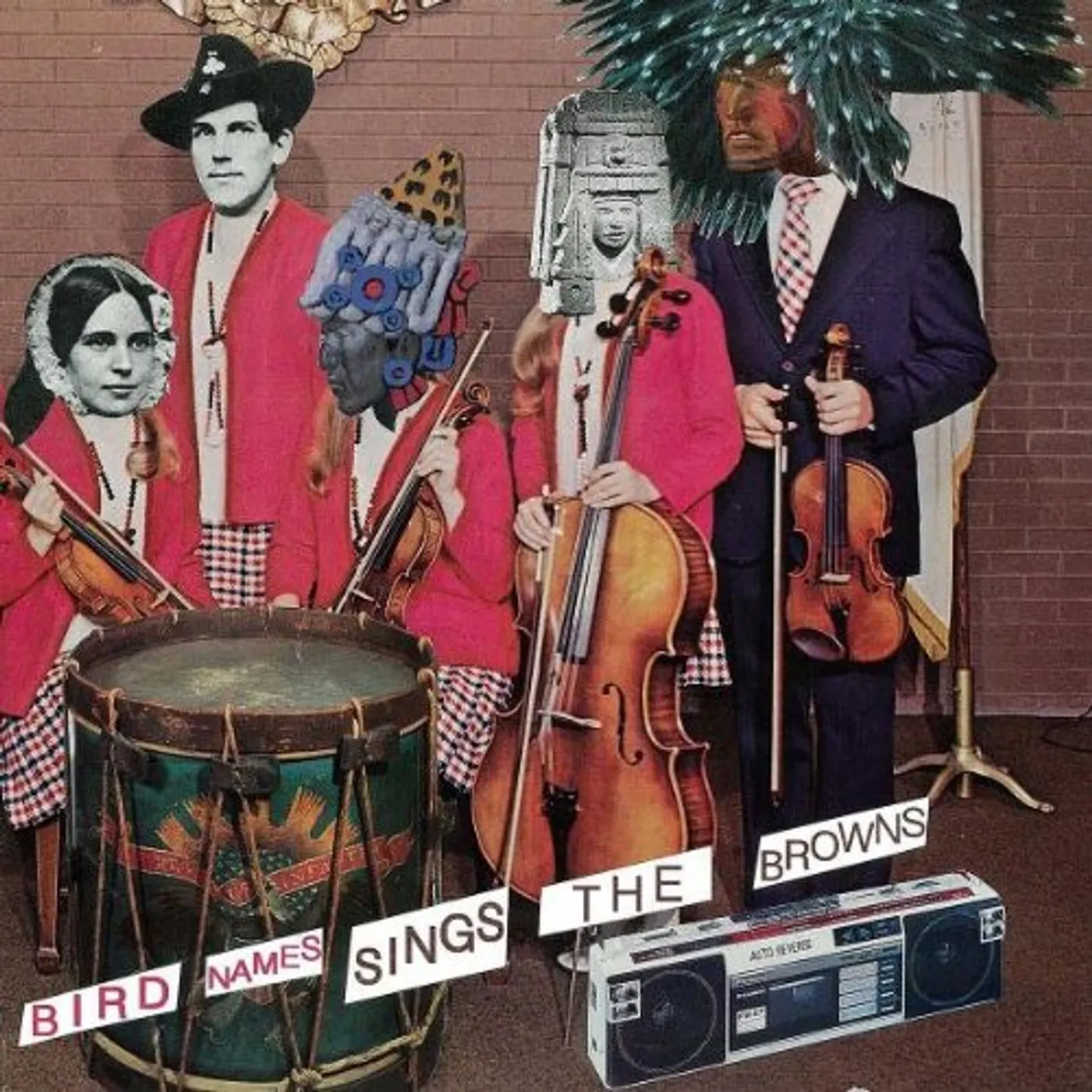 Bird Names SING THE BROWNS Vinyl Record