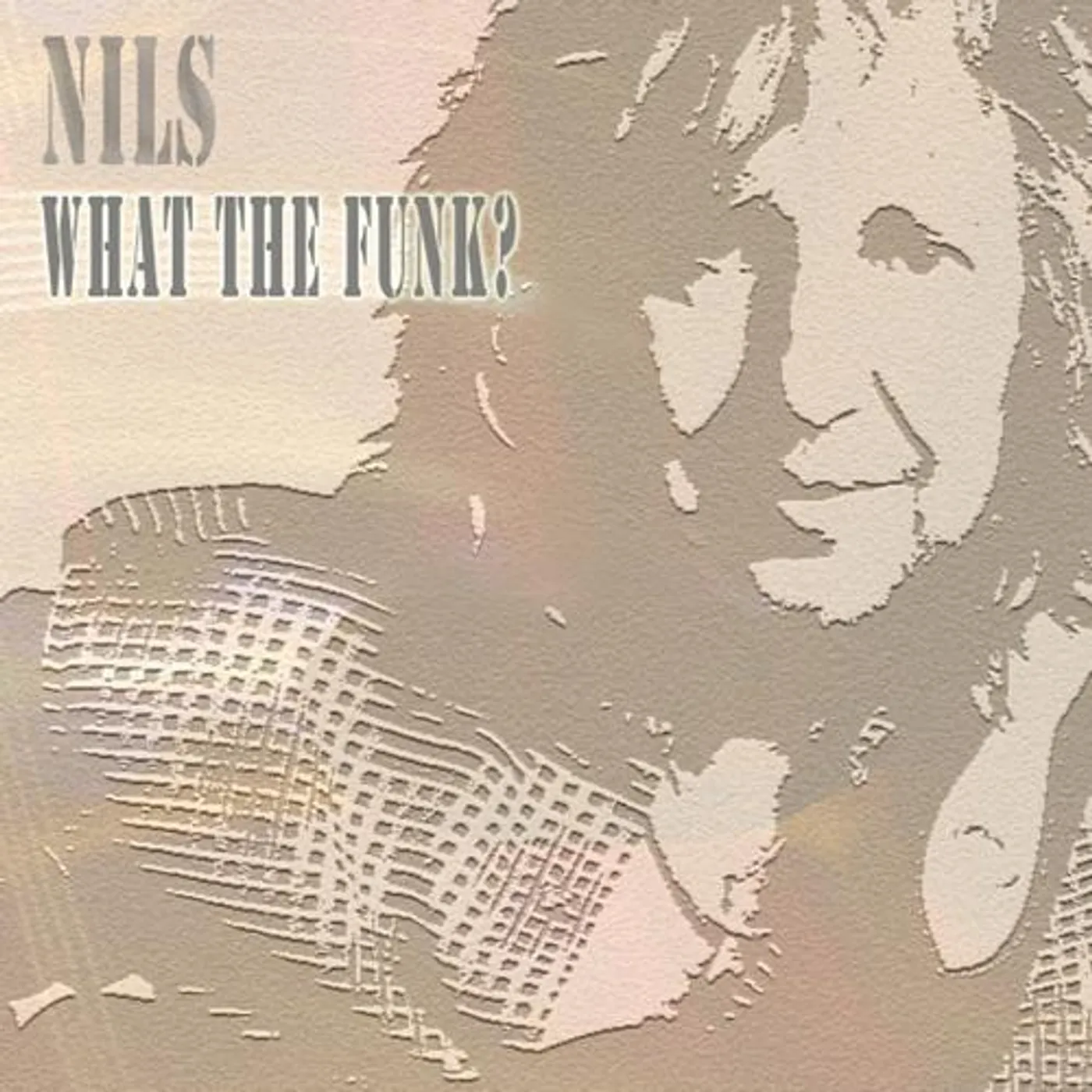 Nils WHAT THE FUNK CD