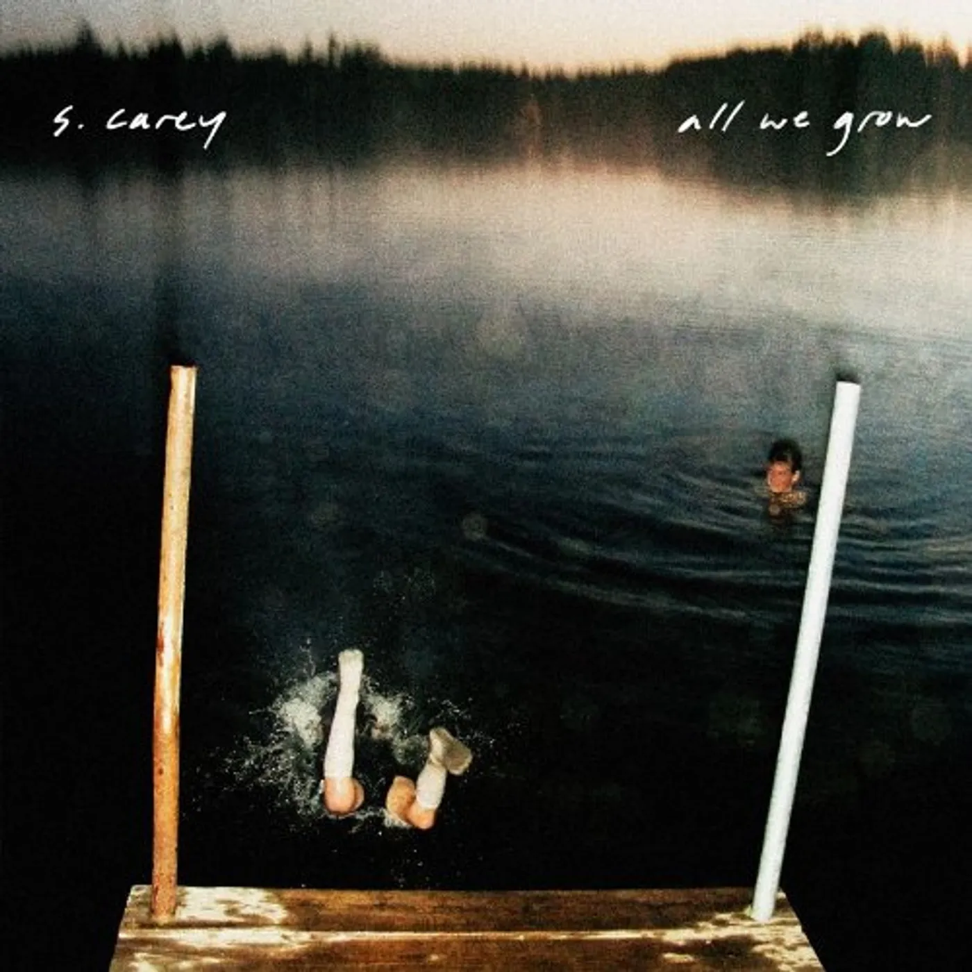 S. Carey ALL WE GROW CD