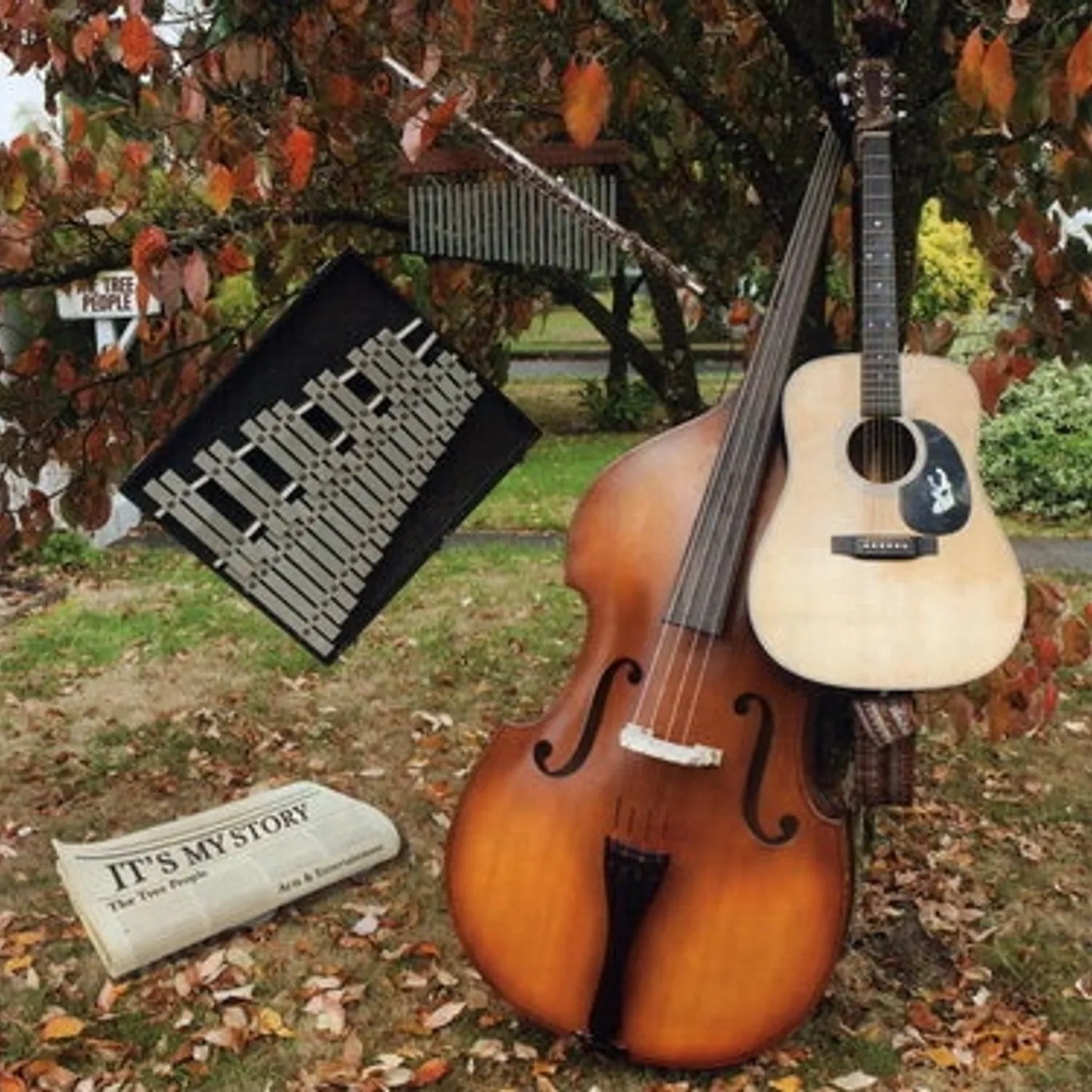 The Tree People It's My Story Vinyl Record