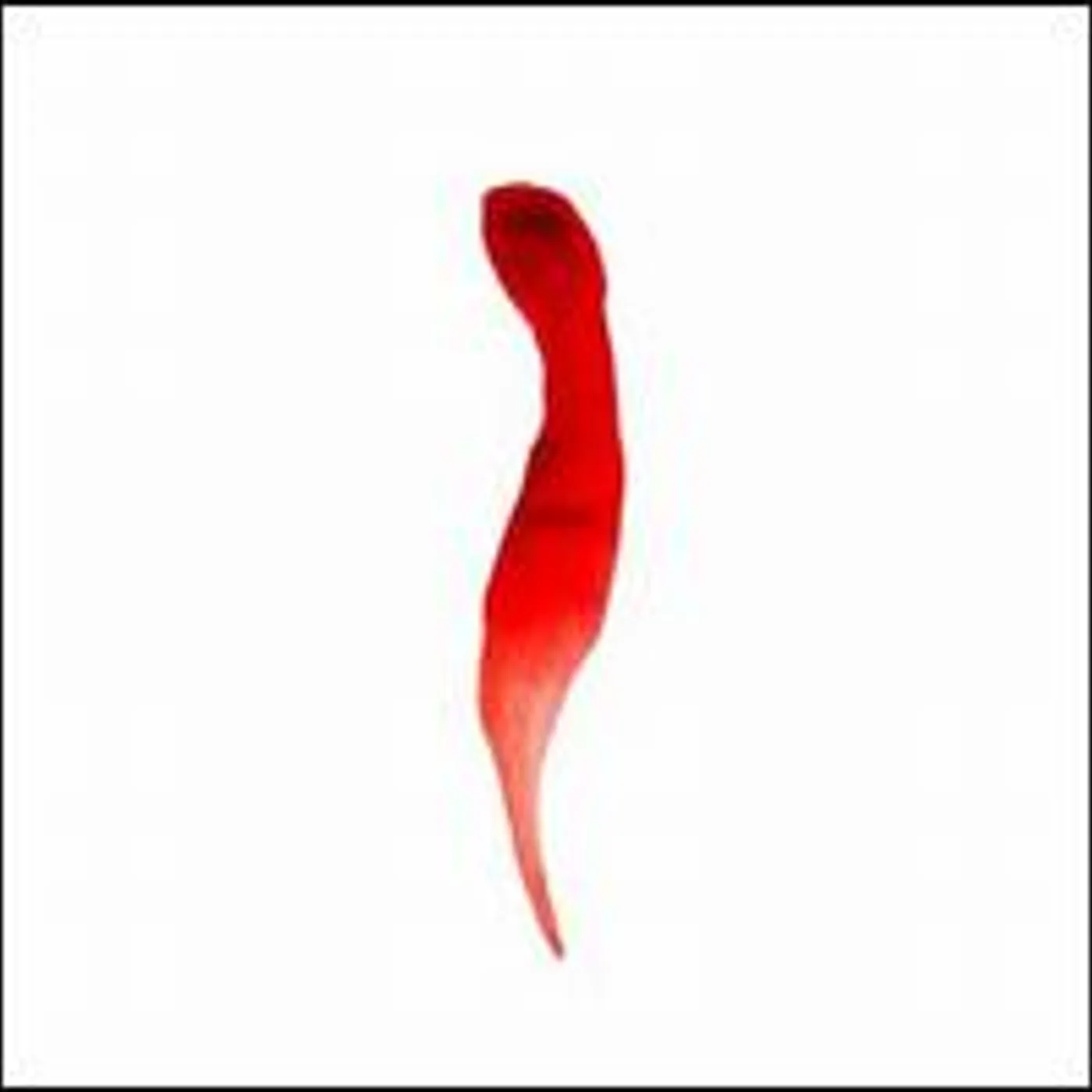 Ambivalent Rumors Vinyl Record