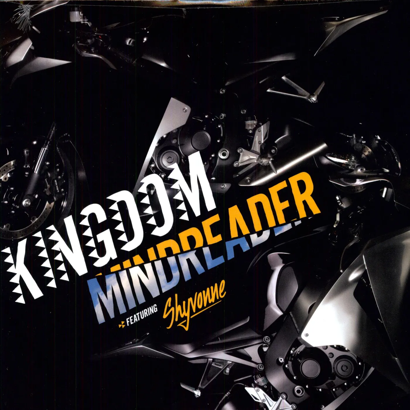 Kingdom MIND READER Vinyl Record