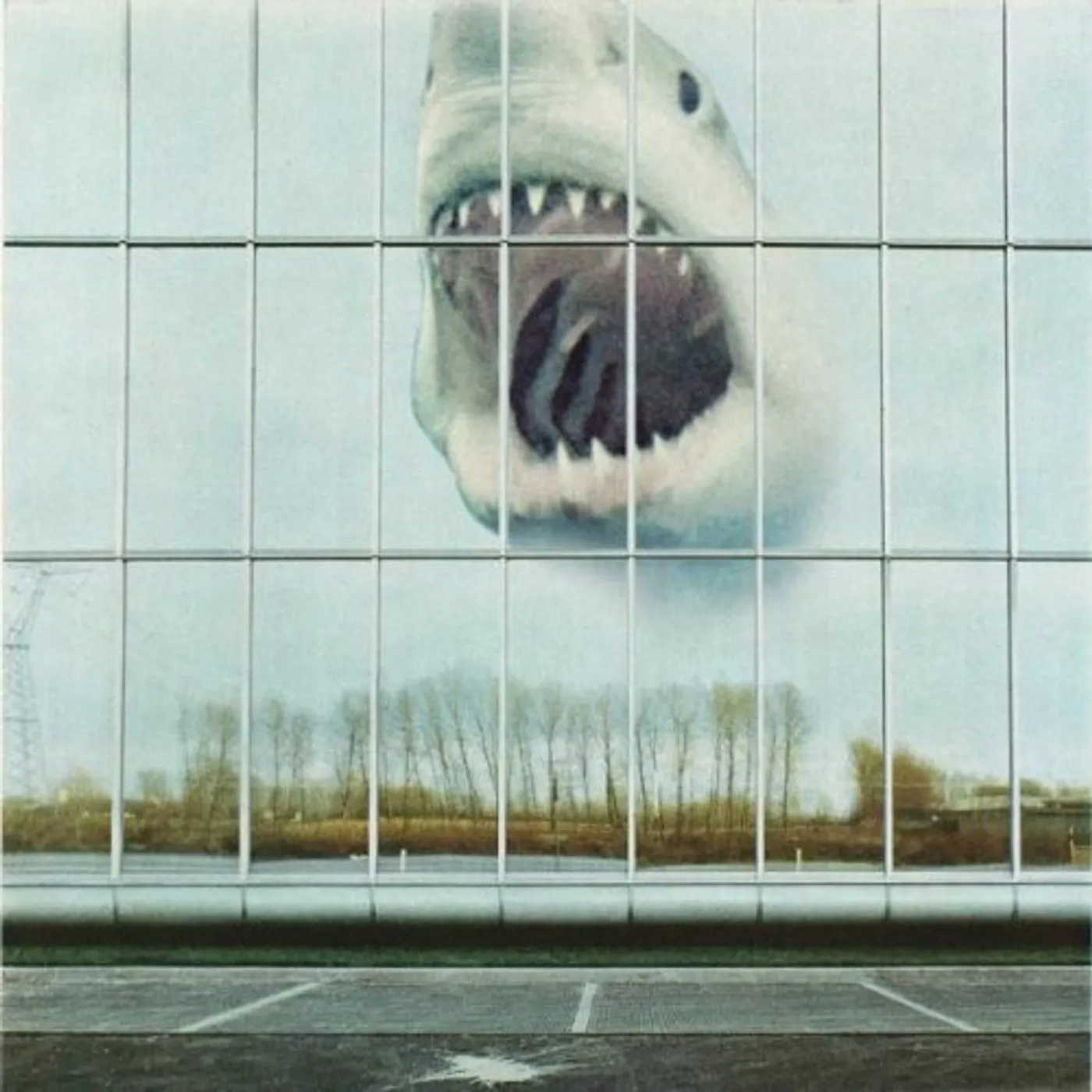 Black Mountain WILDERNESS HEART CD