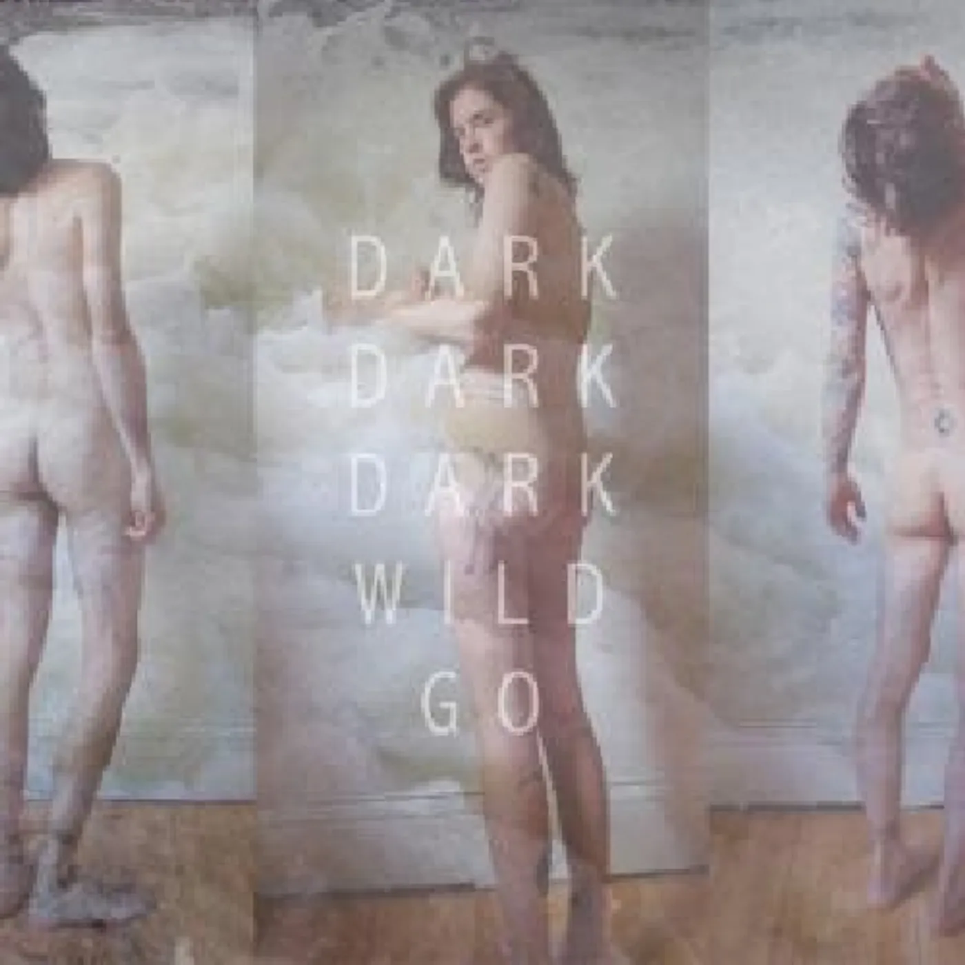 Dark Dark Dark WILD GO CD