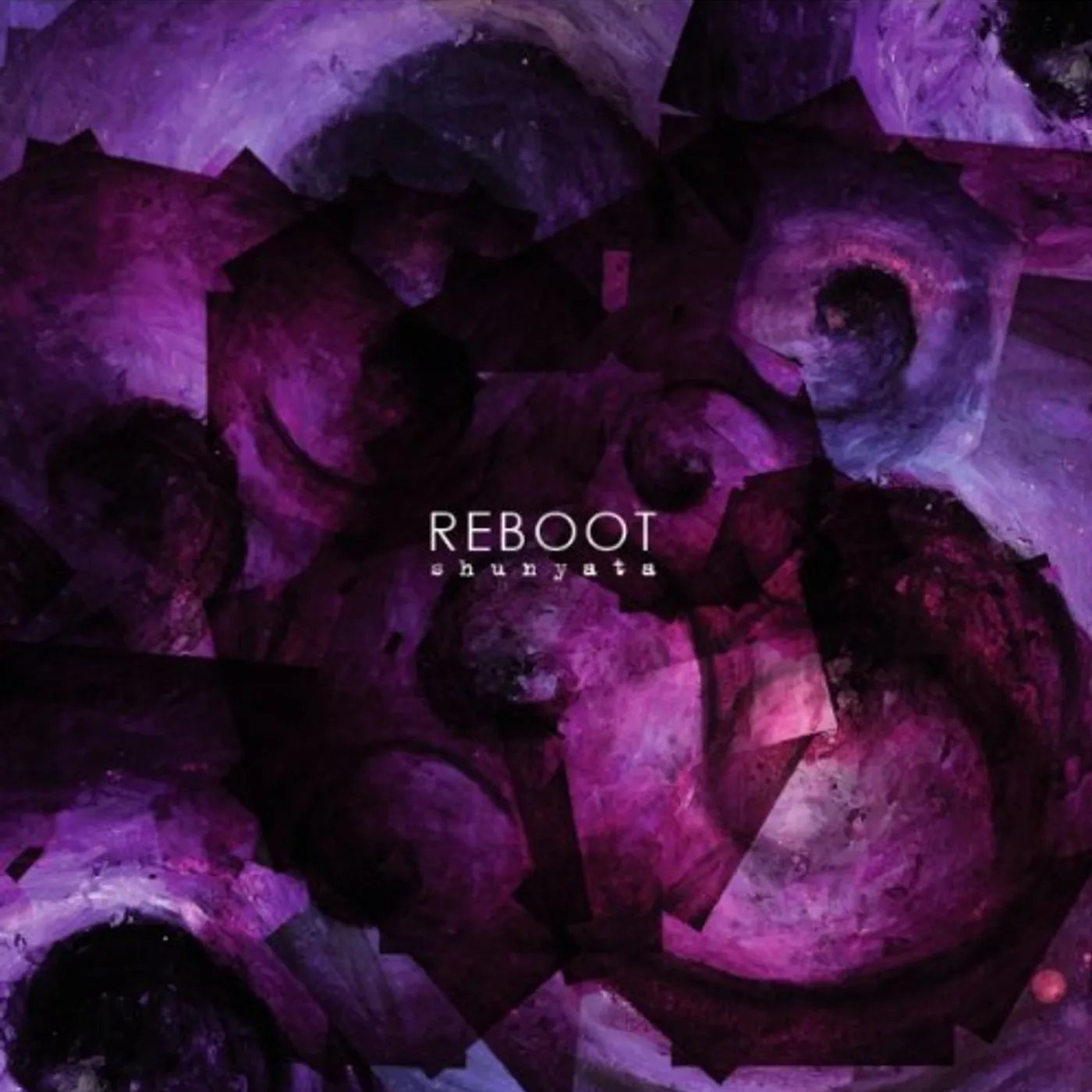 Reboot Shunyata Vinyl Record