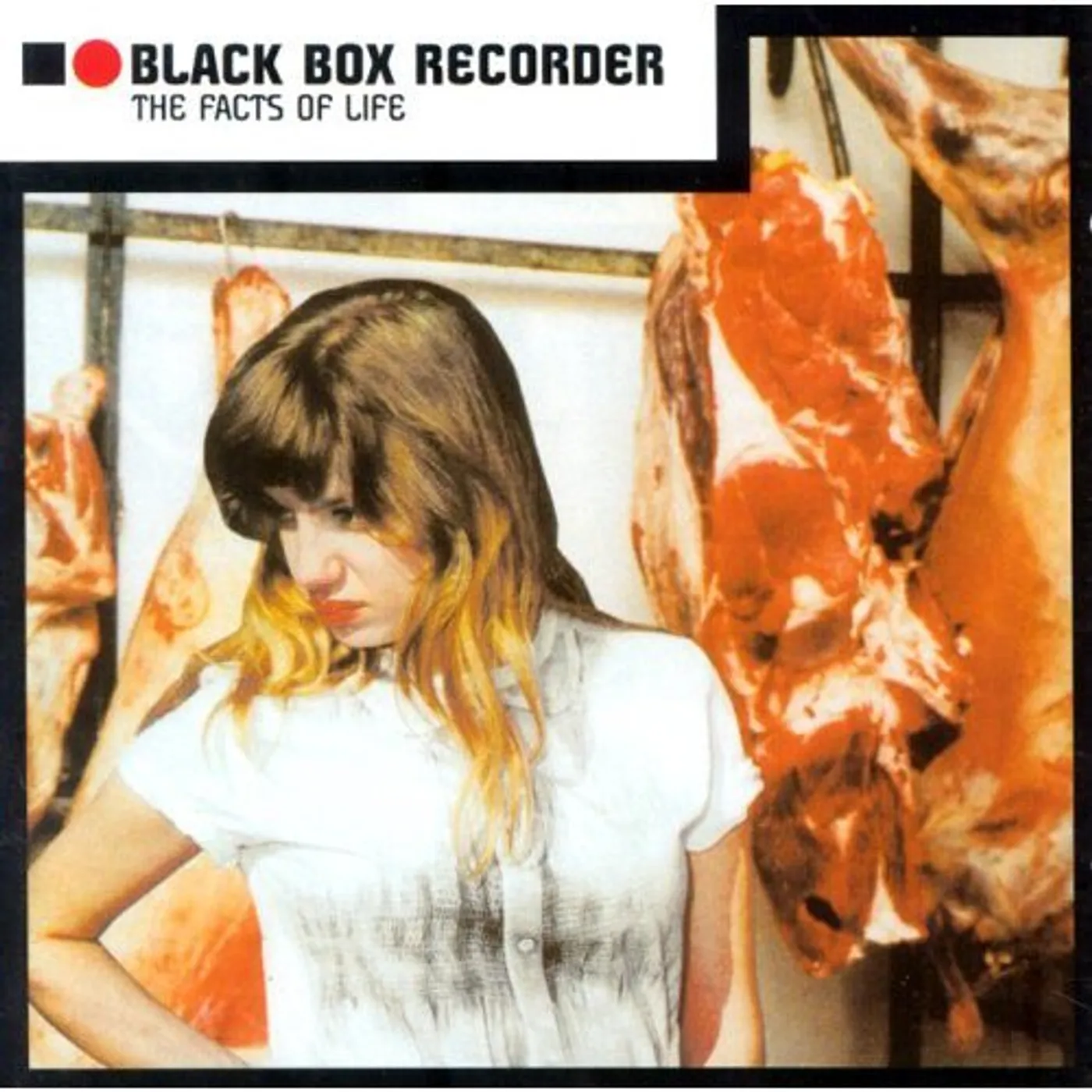 Black Box Recorder FACTS OF LIFE CD
