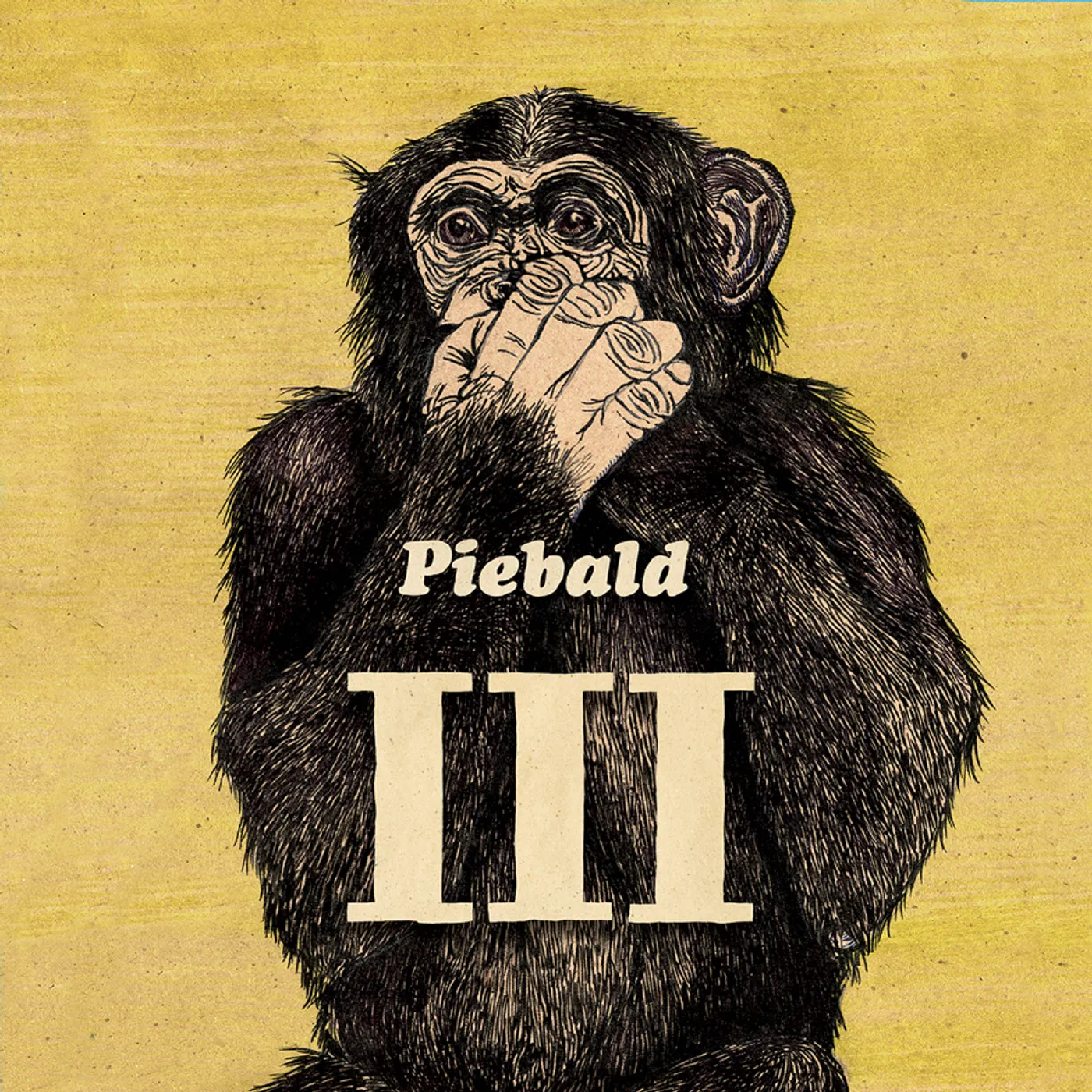 Piebald VOLUME 3 CD