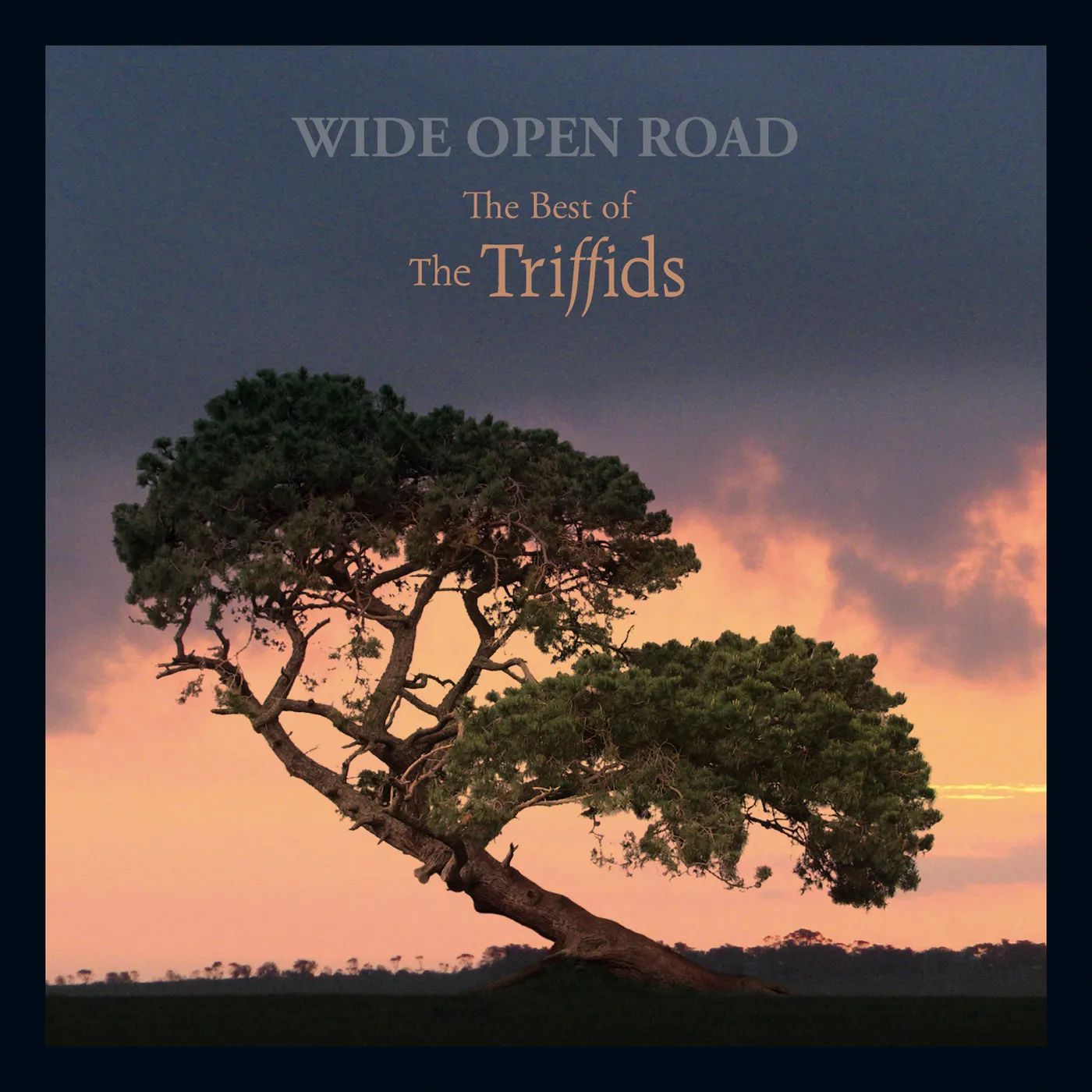 WIDE OPEN ROAD: THE BEST OF THE TRIFFIDS CD