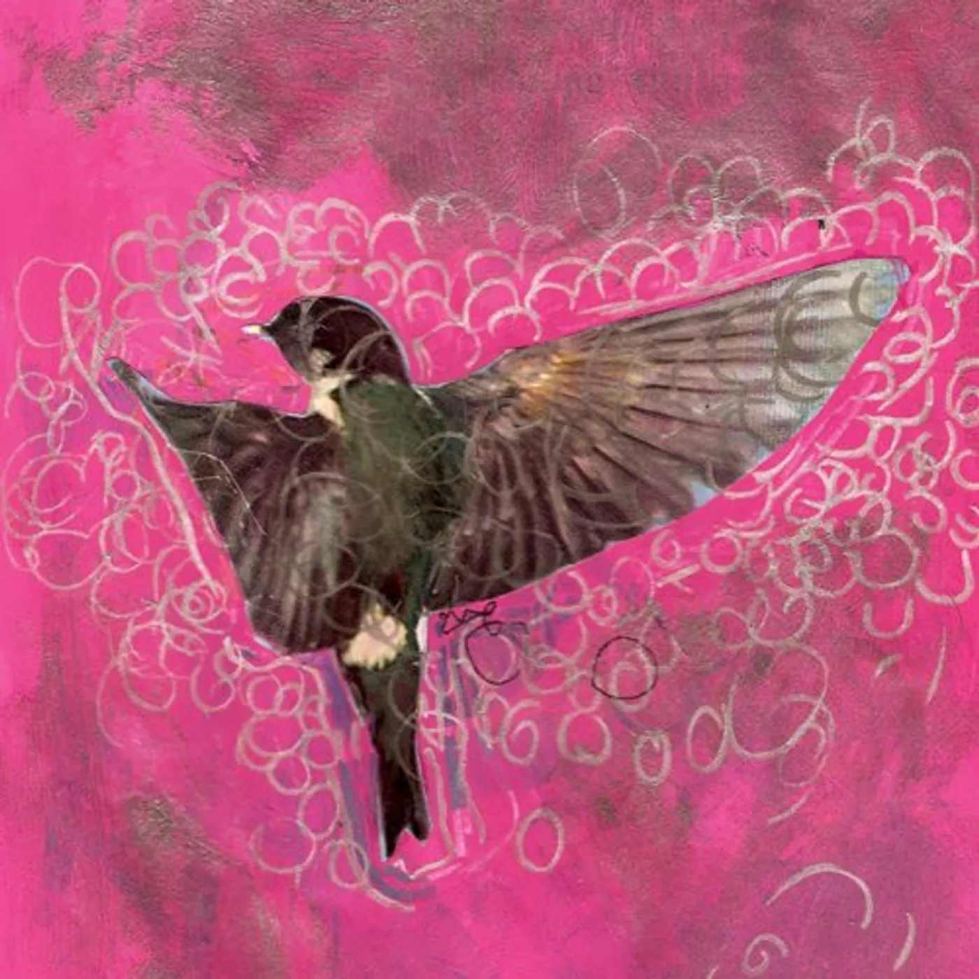 Lovesliescrushing GIRL ECHO SUNS VEILS CD