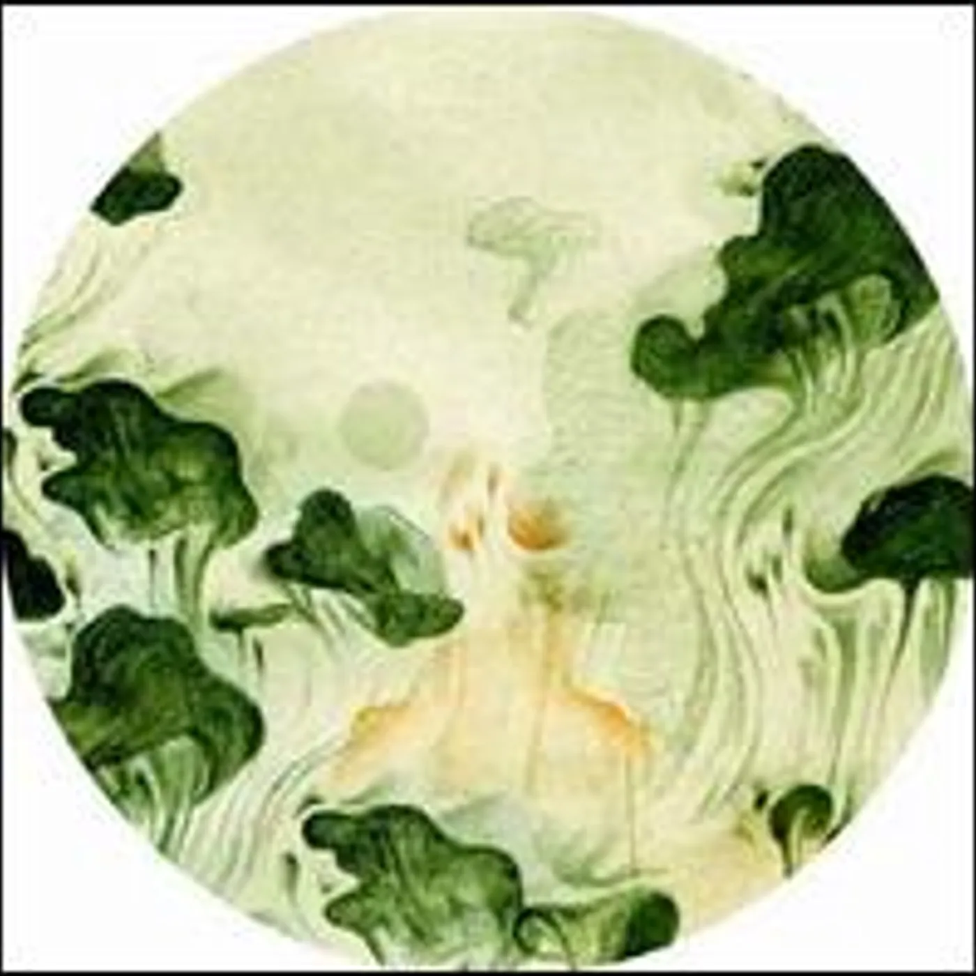 Mathias Kaden Studio 10 Remixes #2 Vinyl Record