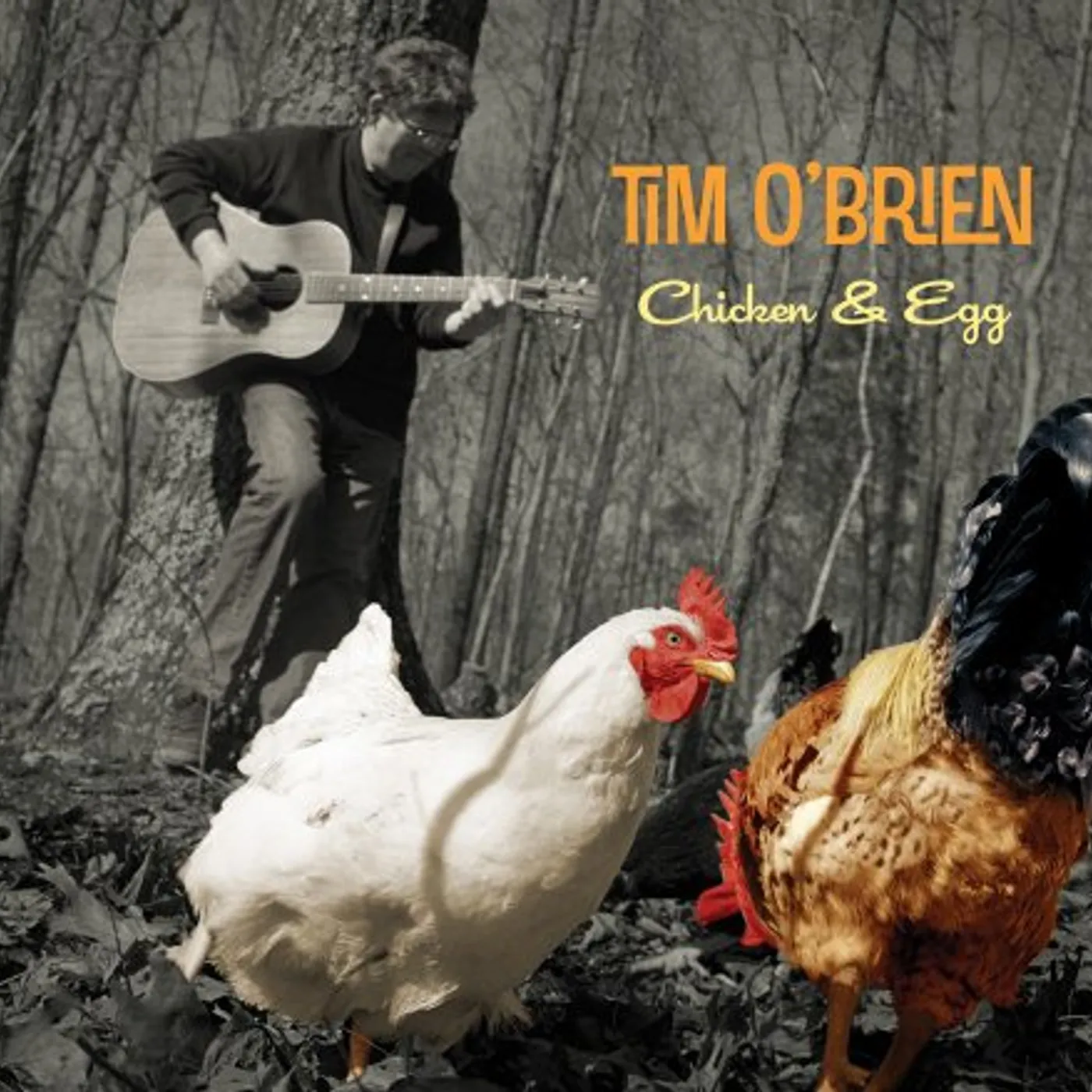 Tim O'Brien CHICKEN & EGG CD