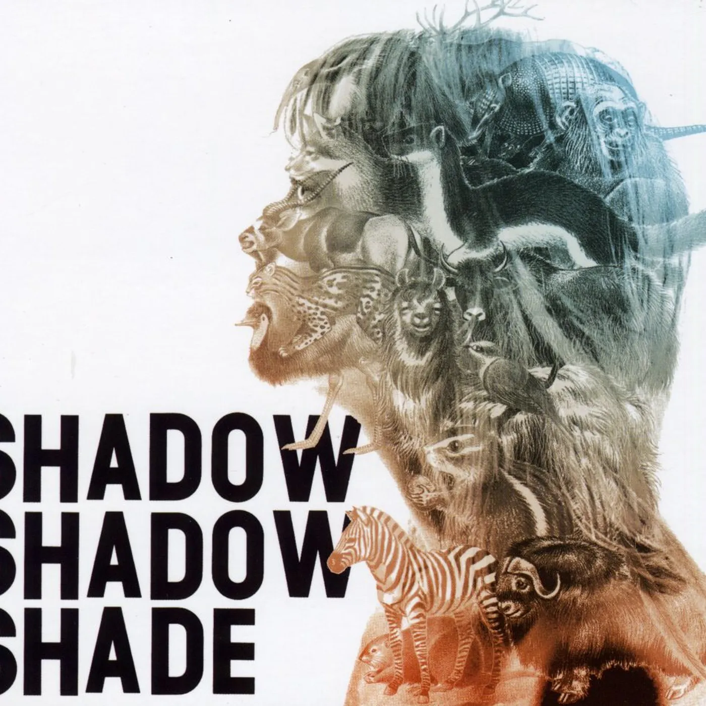 SHADOW SHADOW SHADE CD