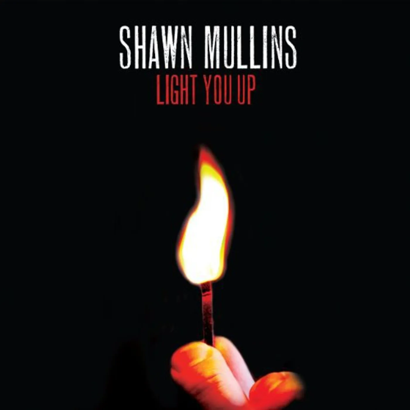 Shawn Mullins Light You Up Vinyl Record