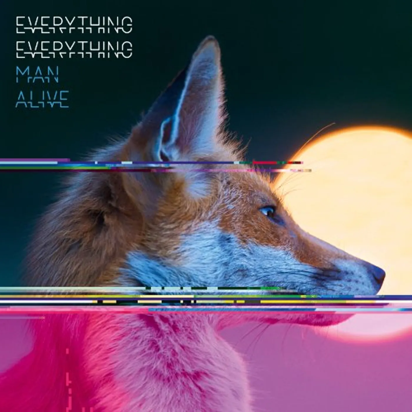 Everything Everything MAN ALIVE CD