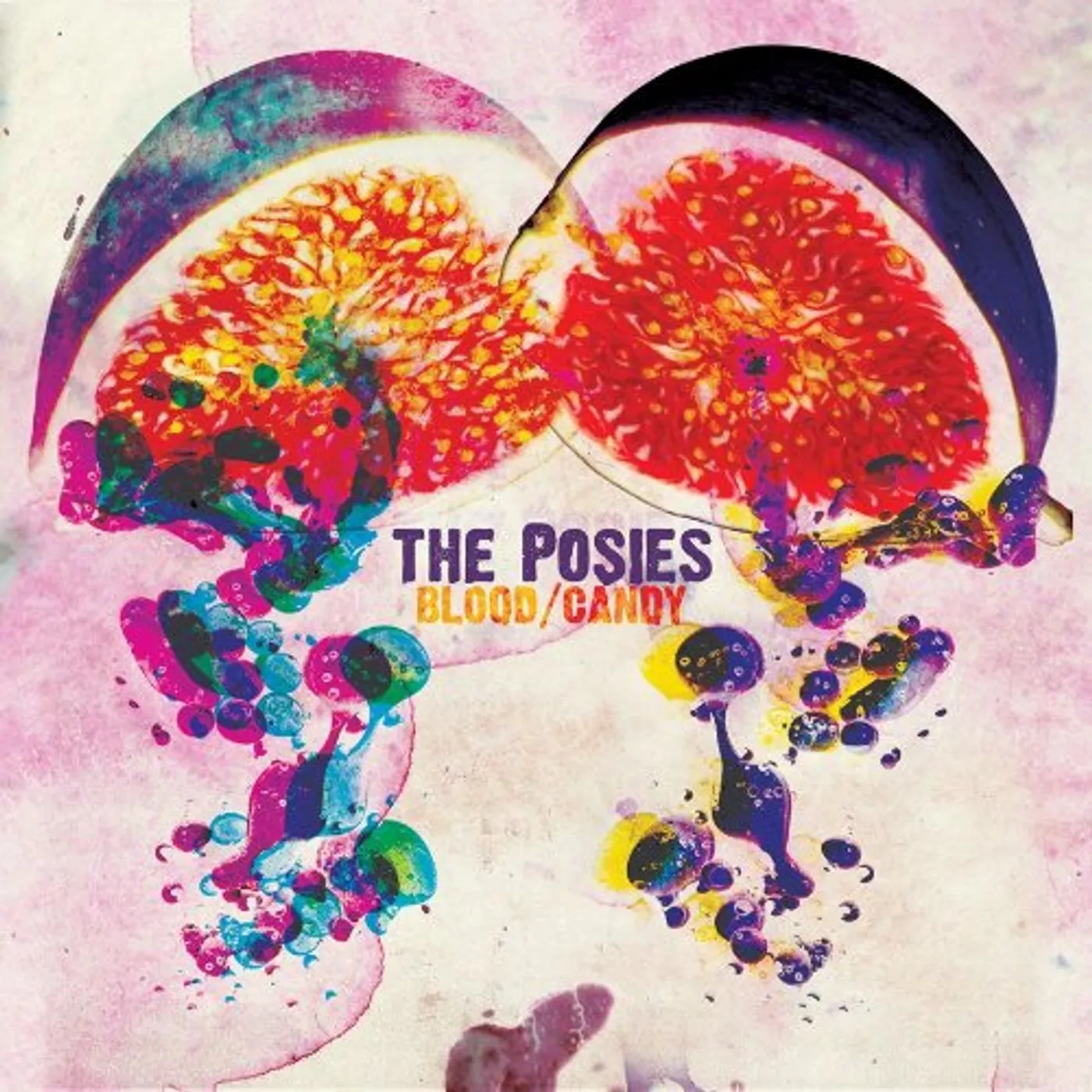 The Posies BLOOD CANDY Vinyl Record - Digital Download Included