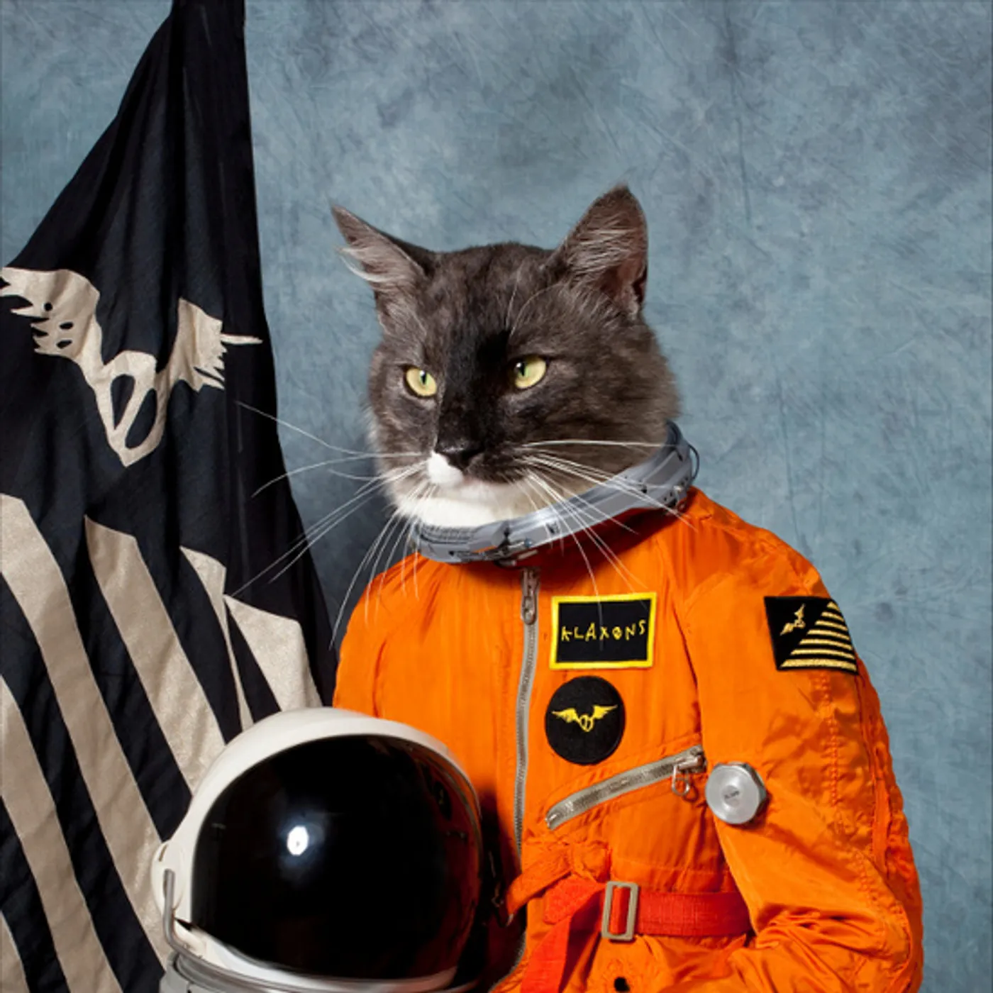 Klaxons SURFING THE VOID CD